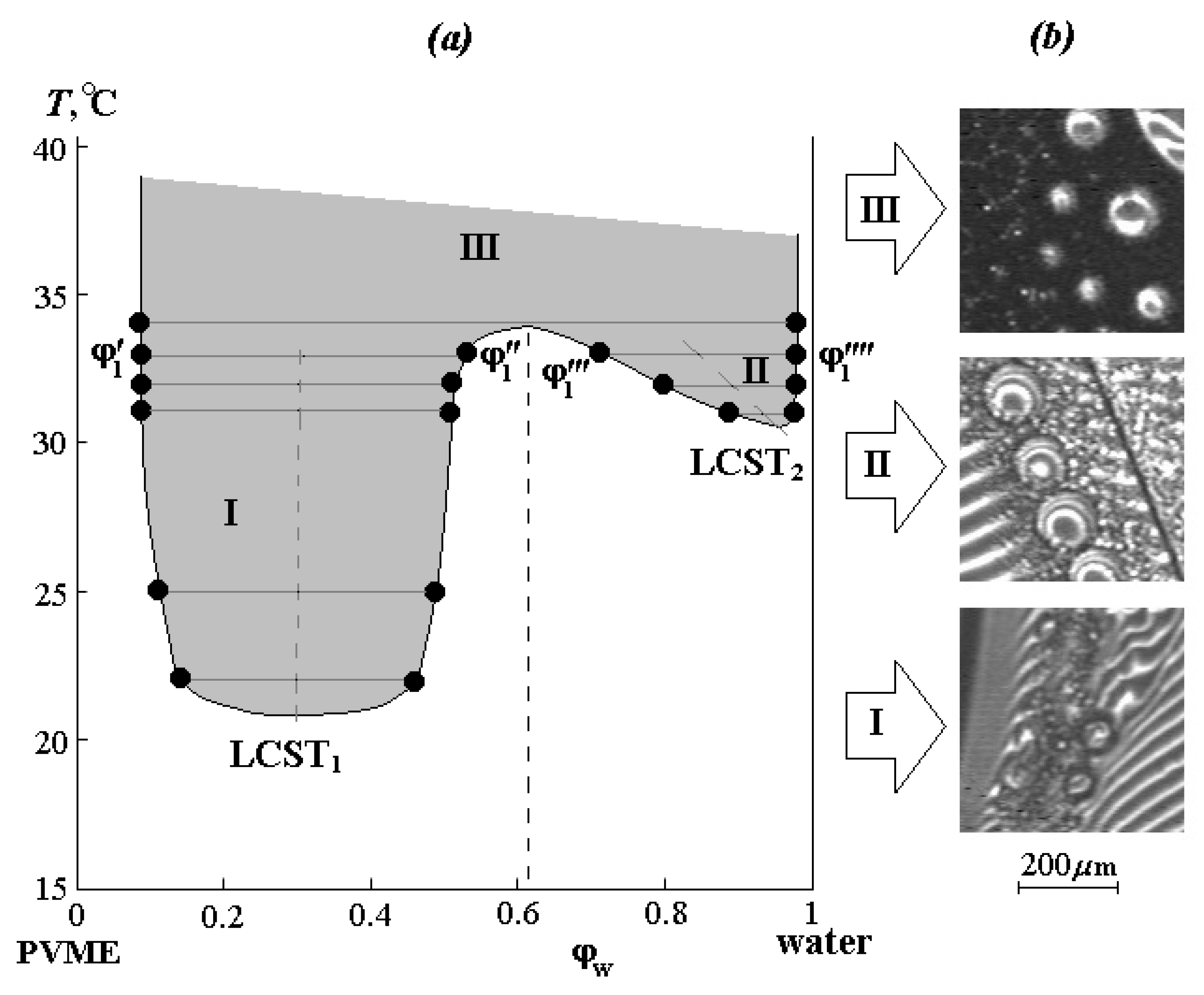 Polymers 12 02445 g003