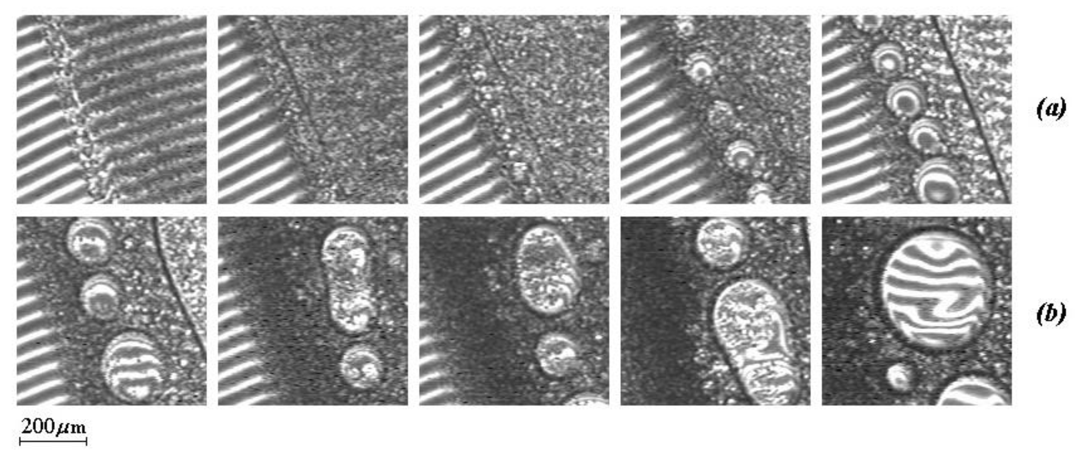 Polymers 12 02445 g007