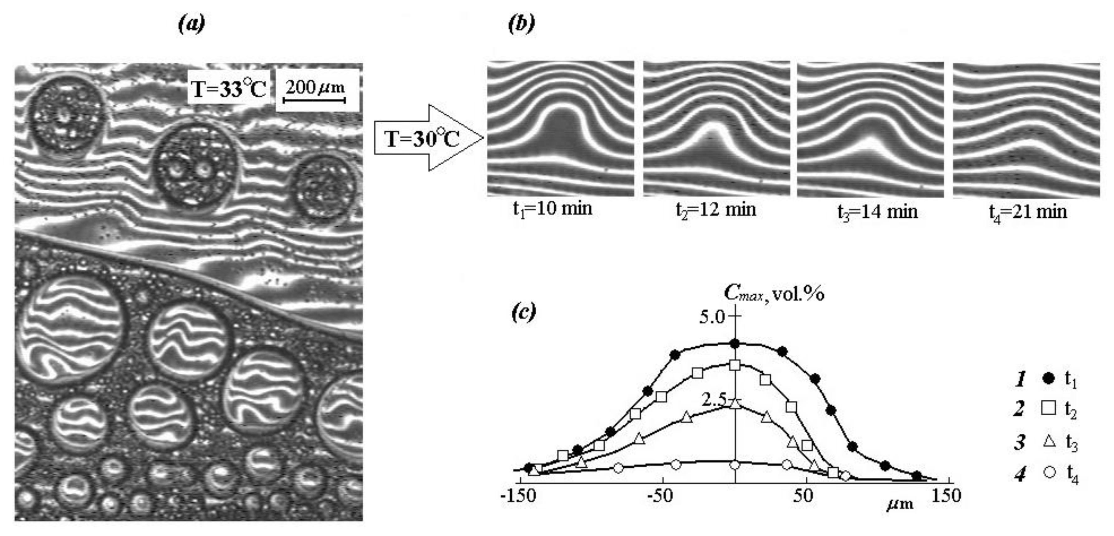 Polymers 12 02445 g008