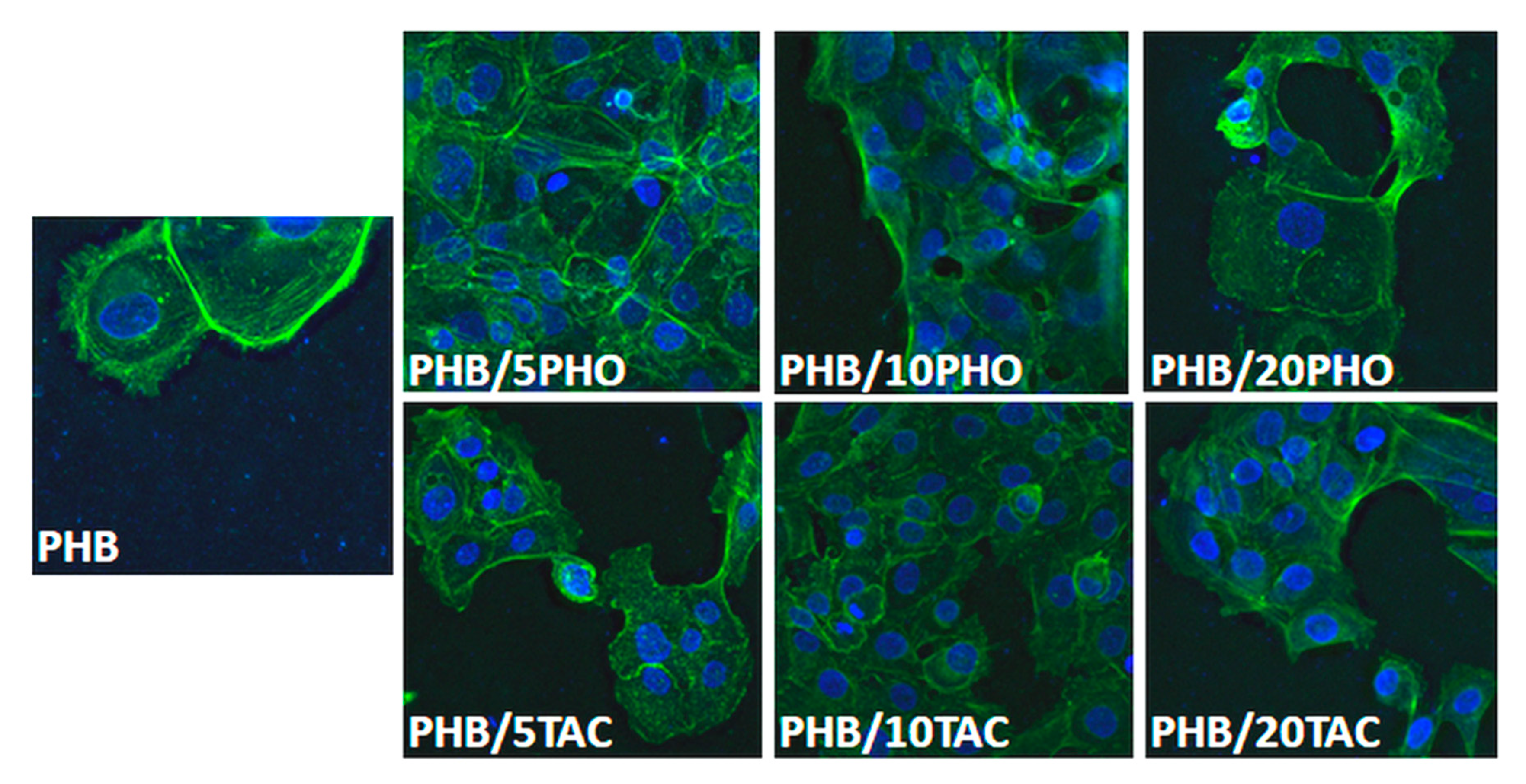 Polymers 12 02446 g010 Polymers 12 02446 g010