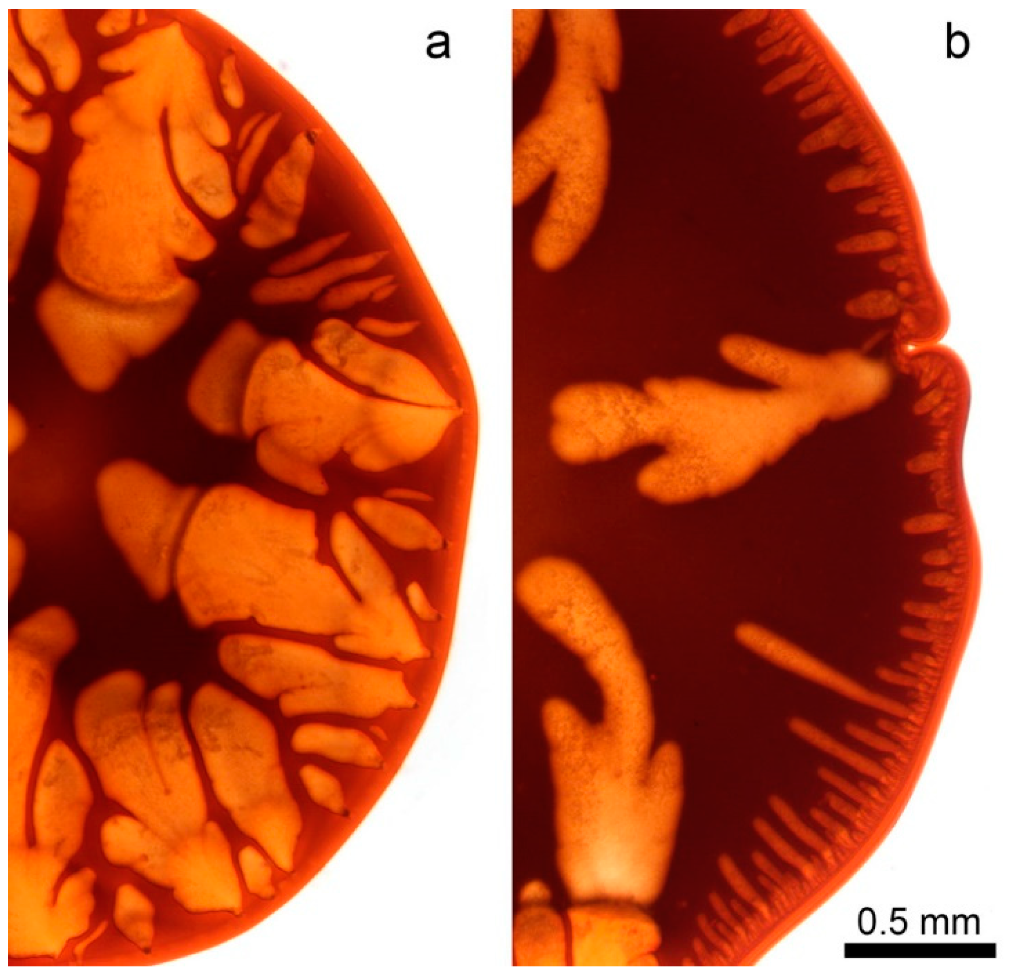 Polymers 12 02454 g014