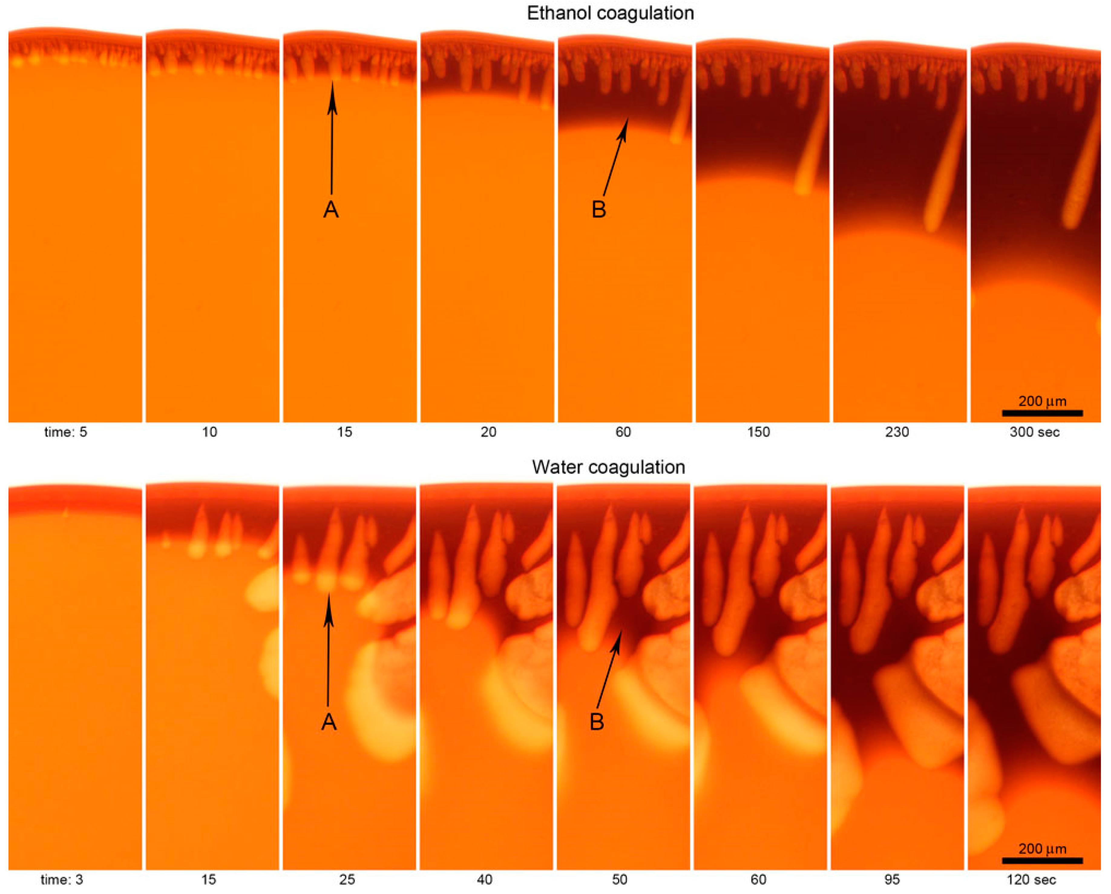 Polymers 12 02454 g015