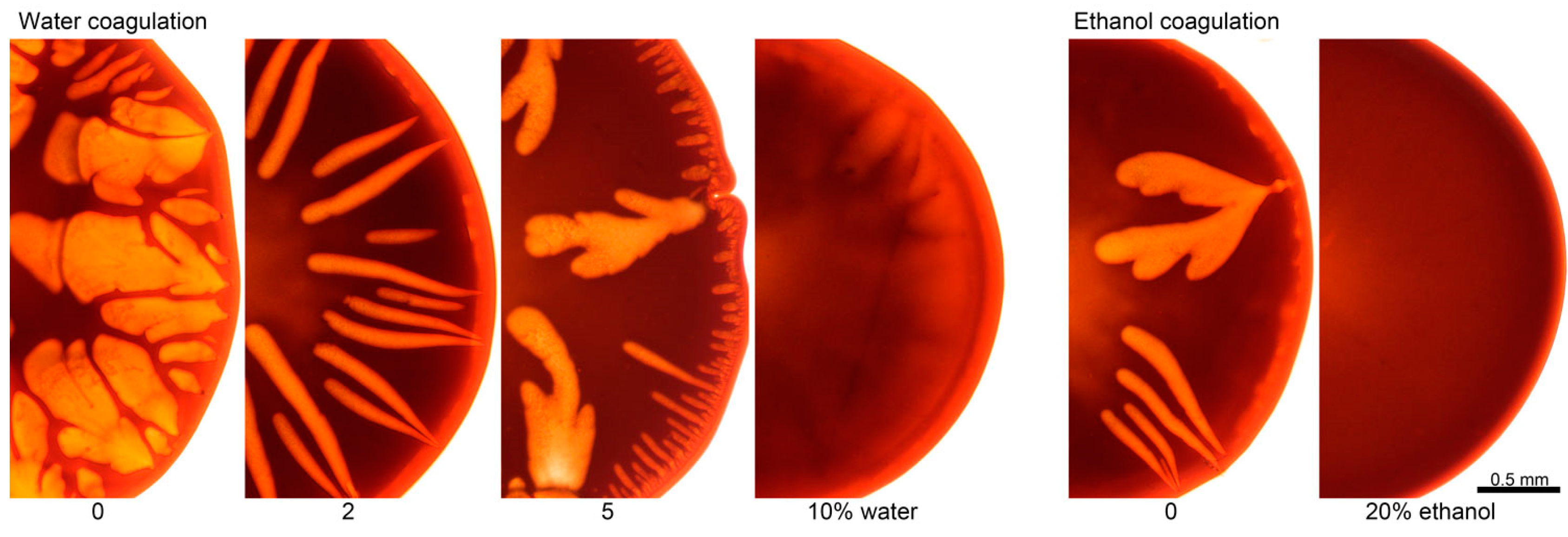 Polymers 12 02454 g018