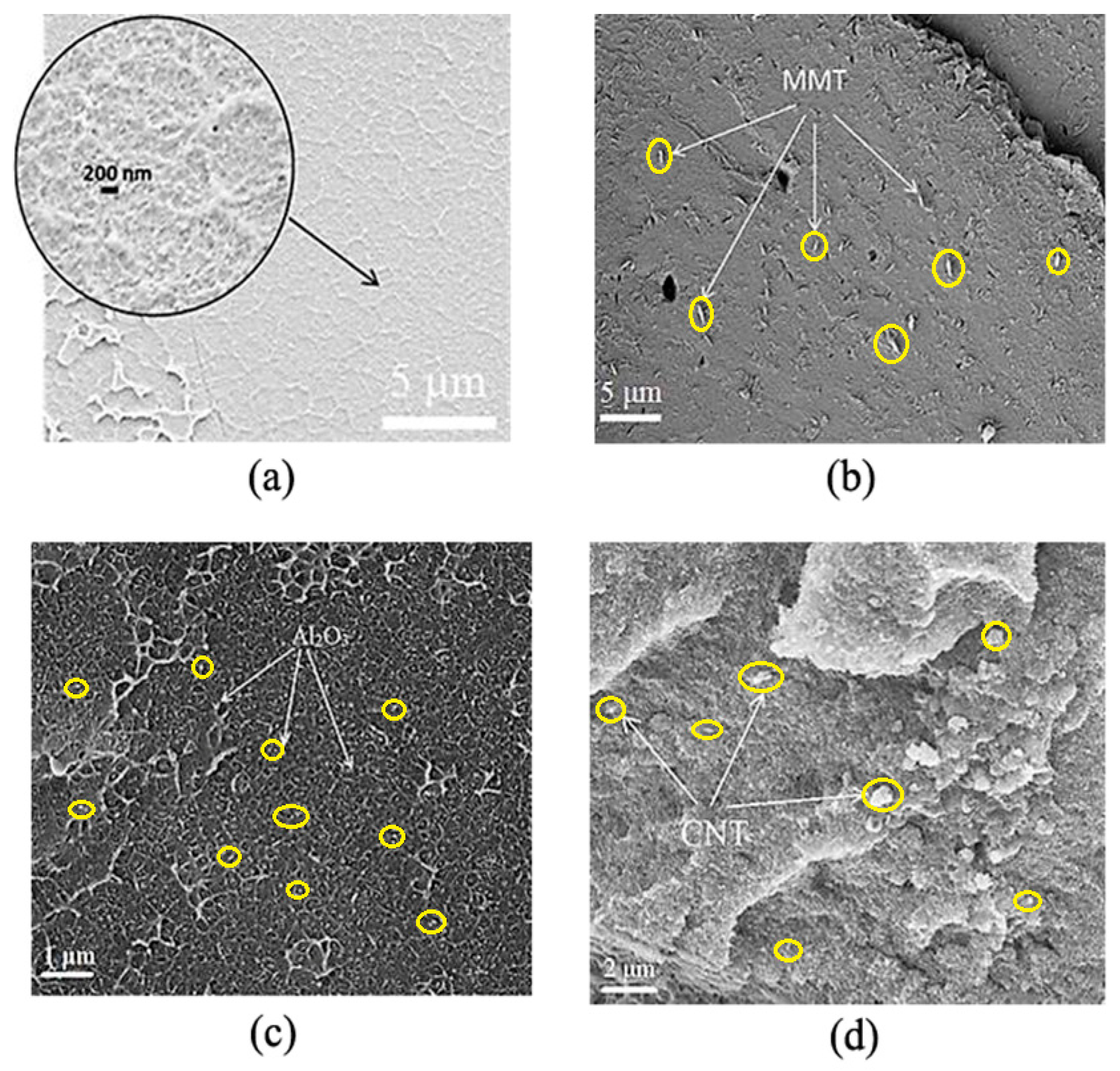 Polymers 12 02457 g003