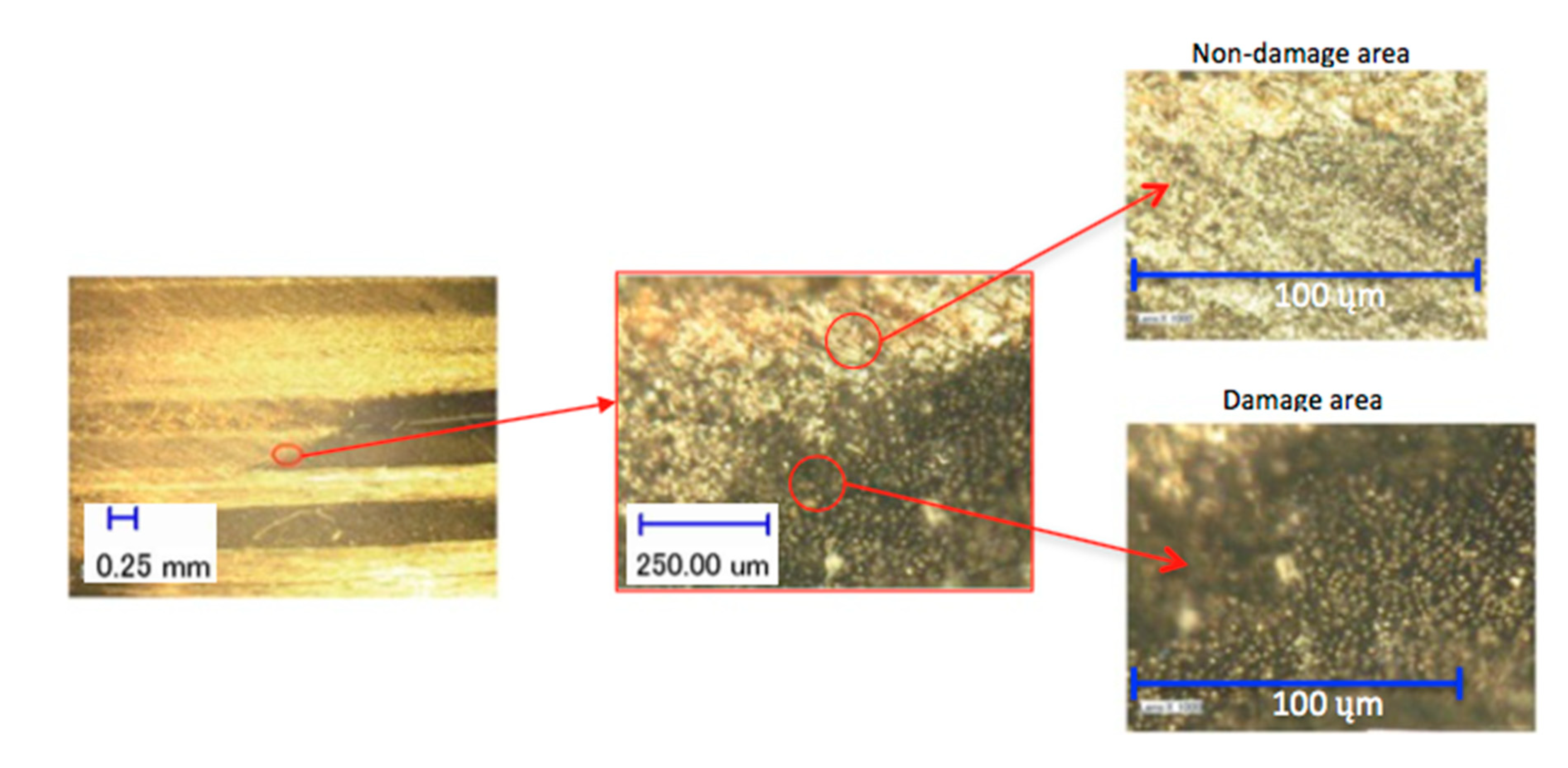 Polymers 12 02461 g004