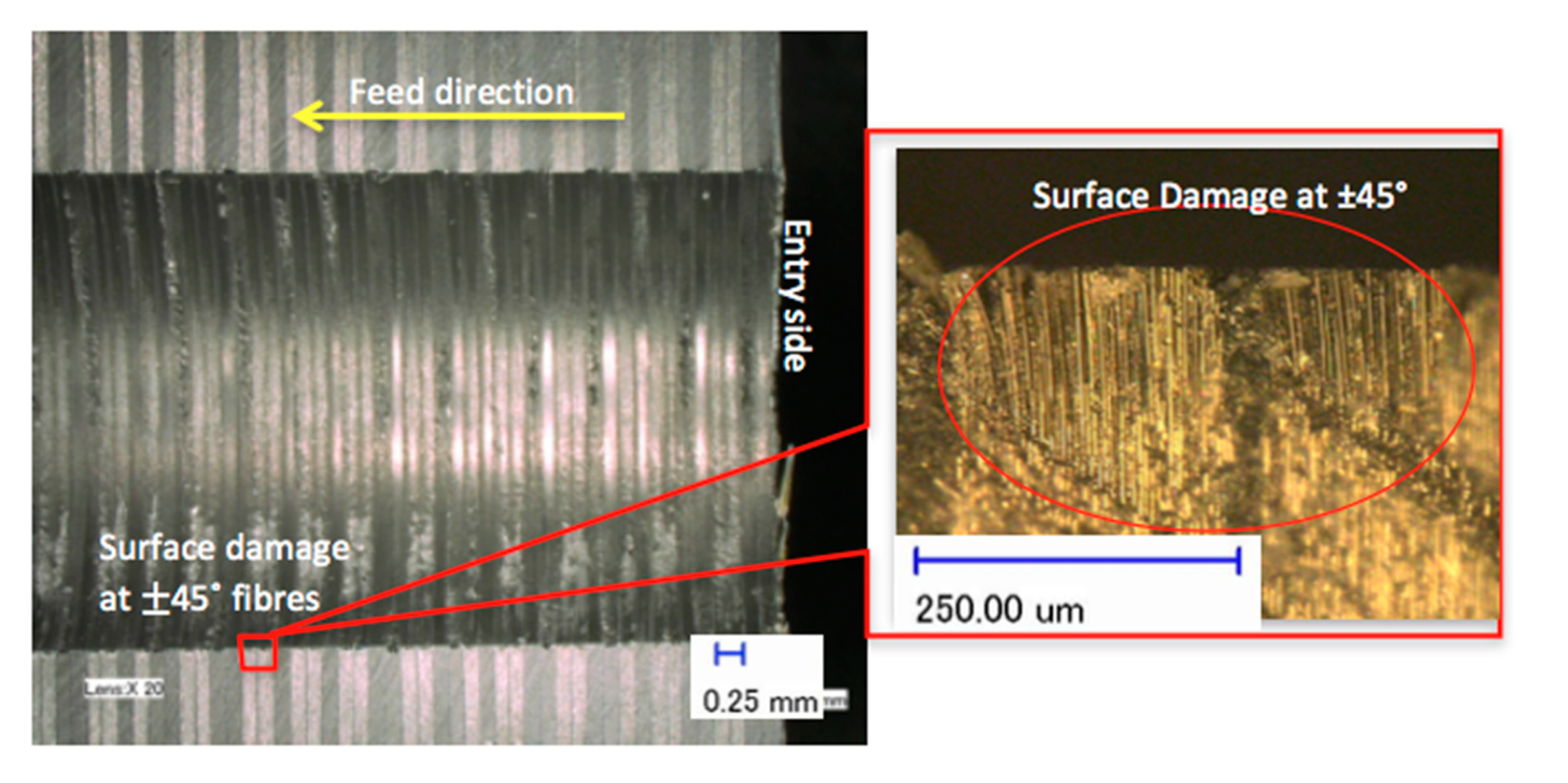 Polymers 12 02461 g008