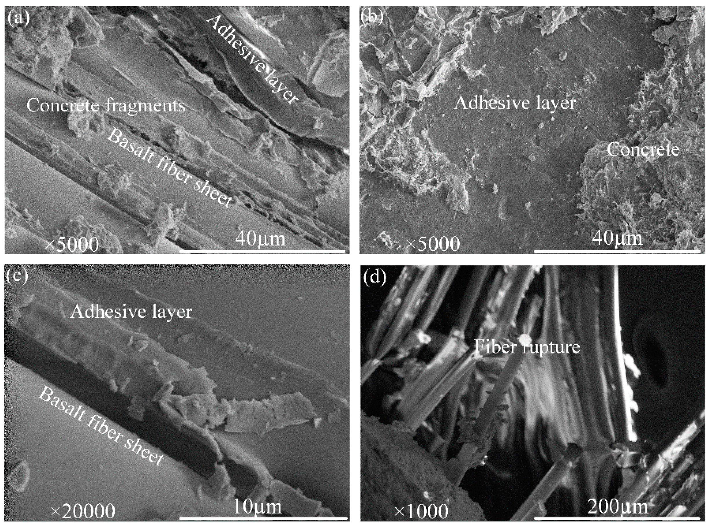 Polymers 12 02466 g005