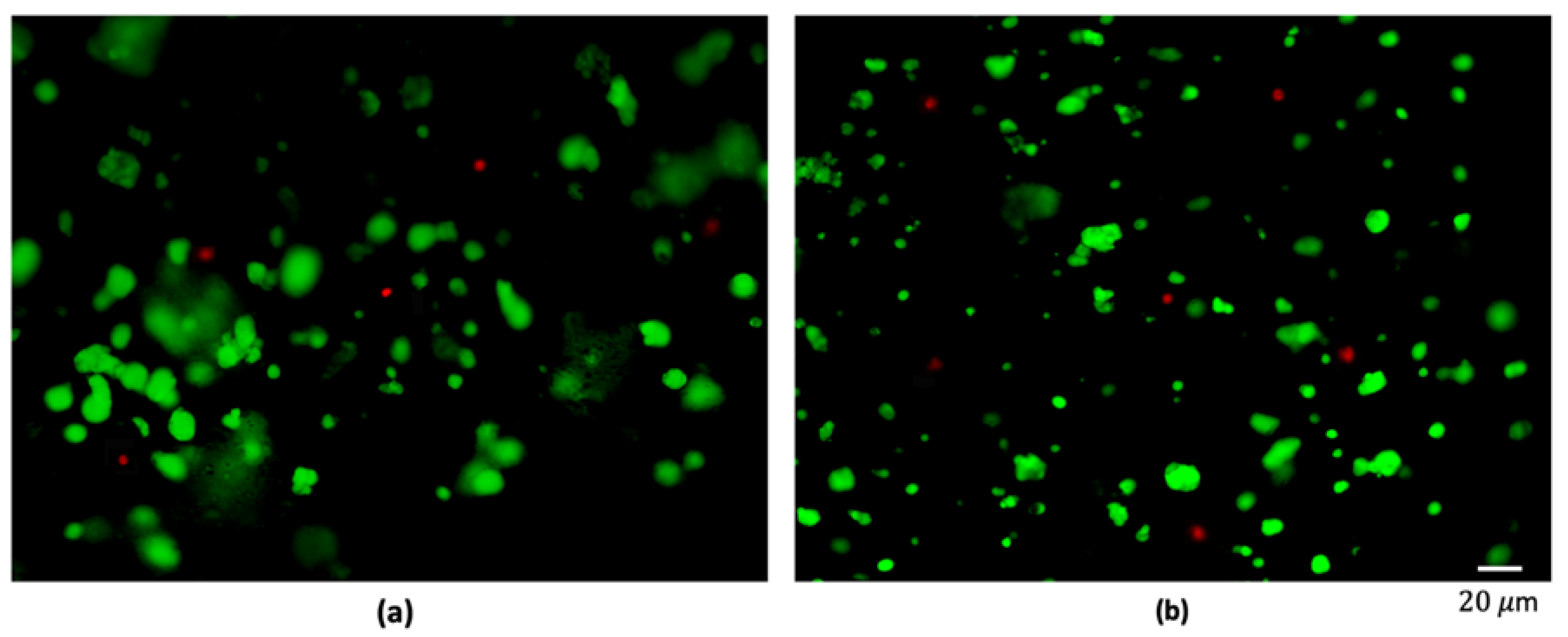 Polymers 12 02467 g003