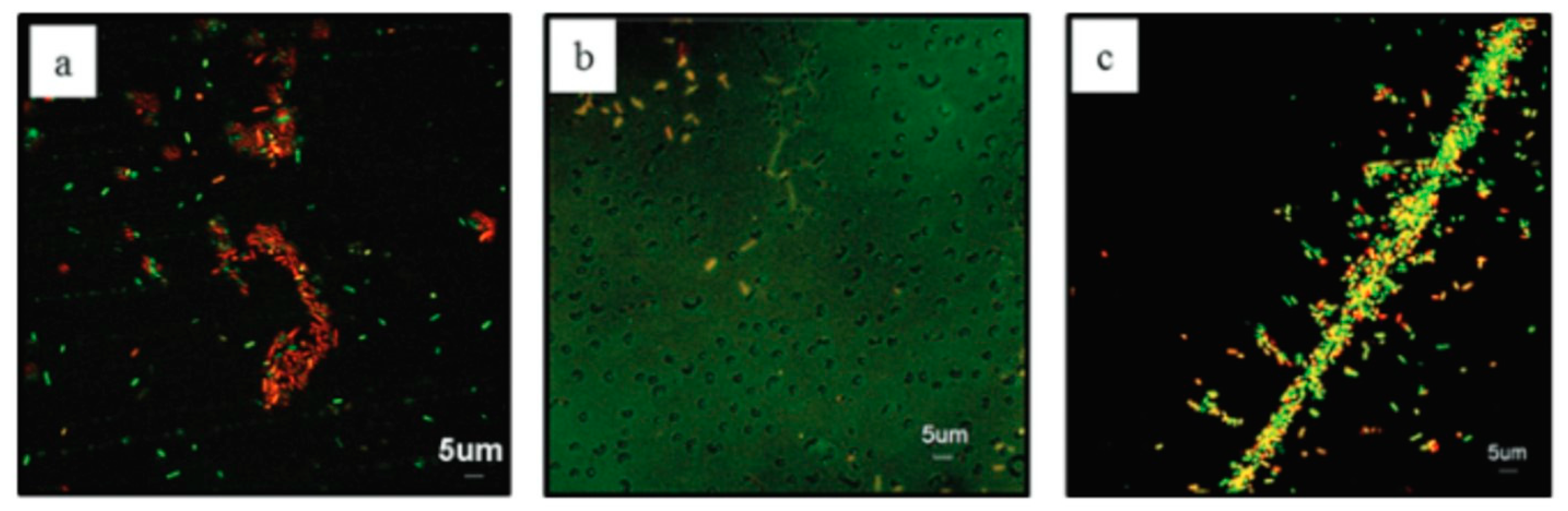 Polymers 12 02469 g001