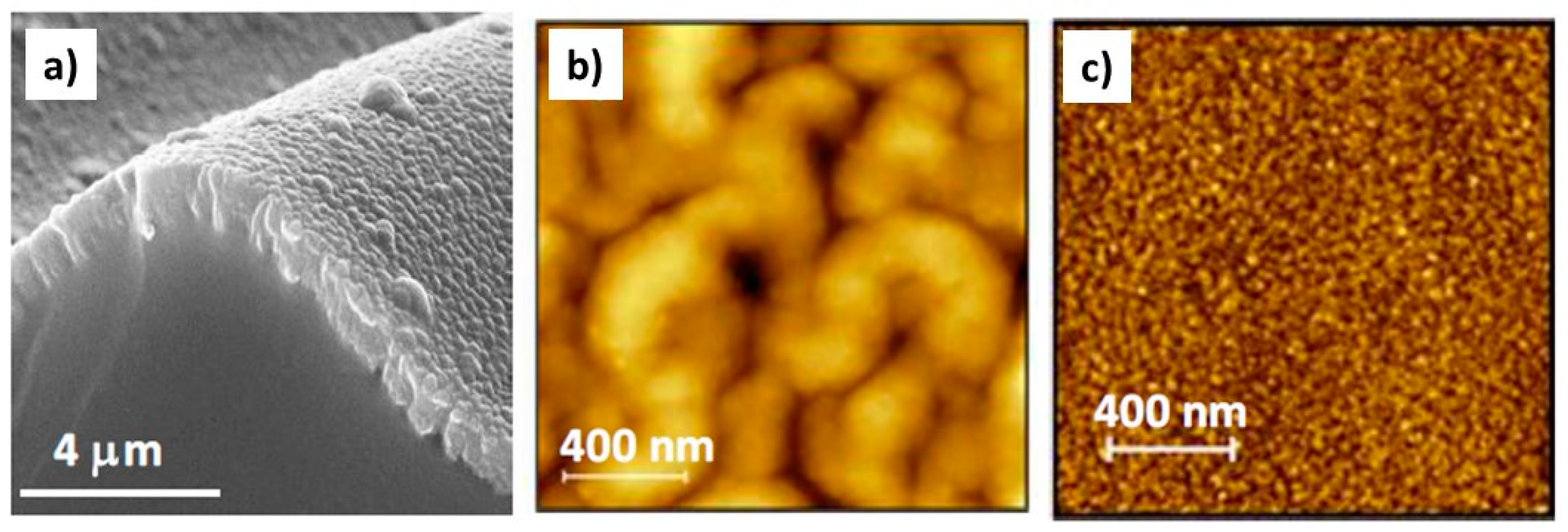 Polymers 12 02469 g002