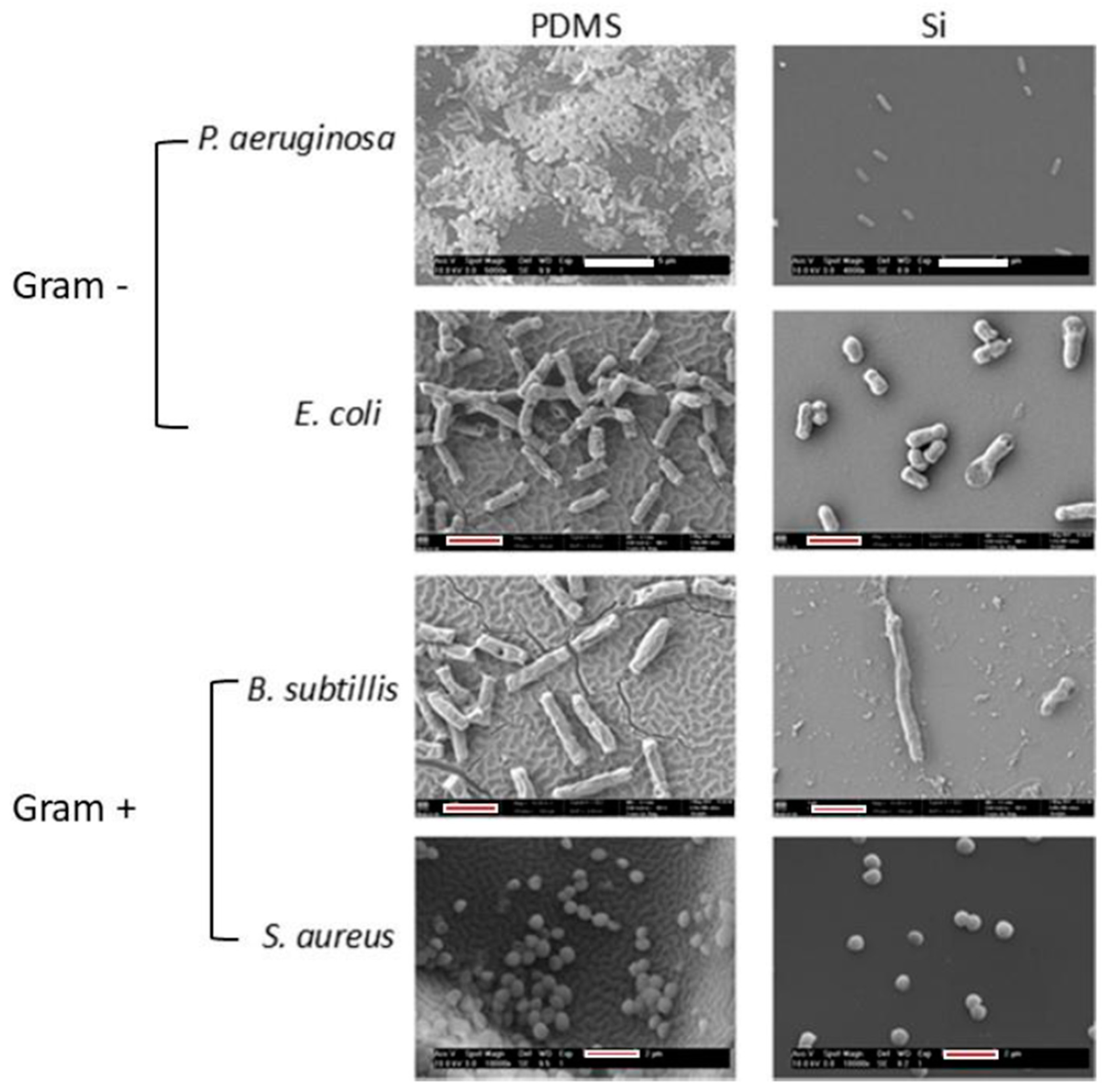 Polymers 12 02469 g003
