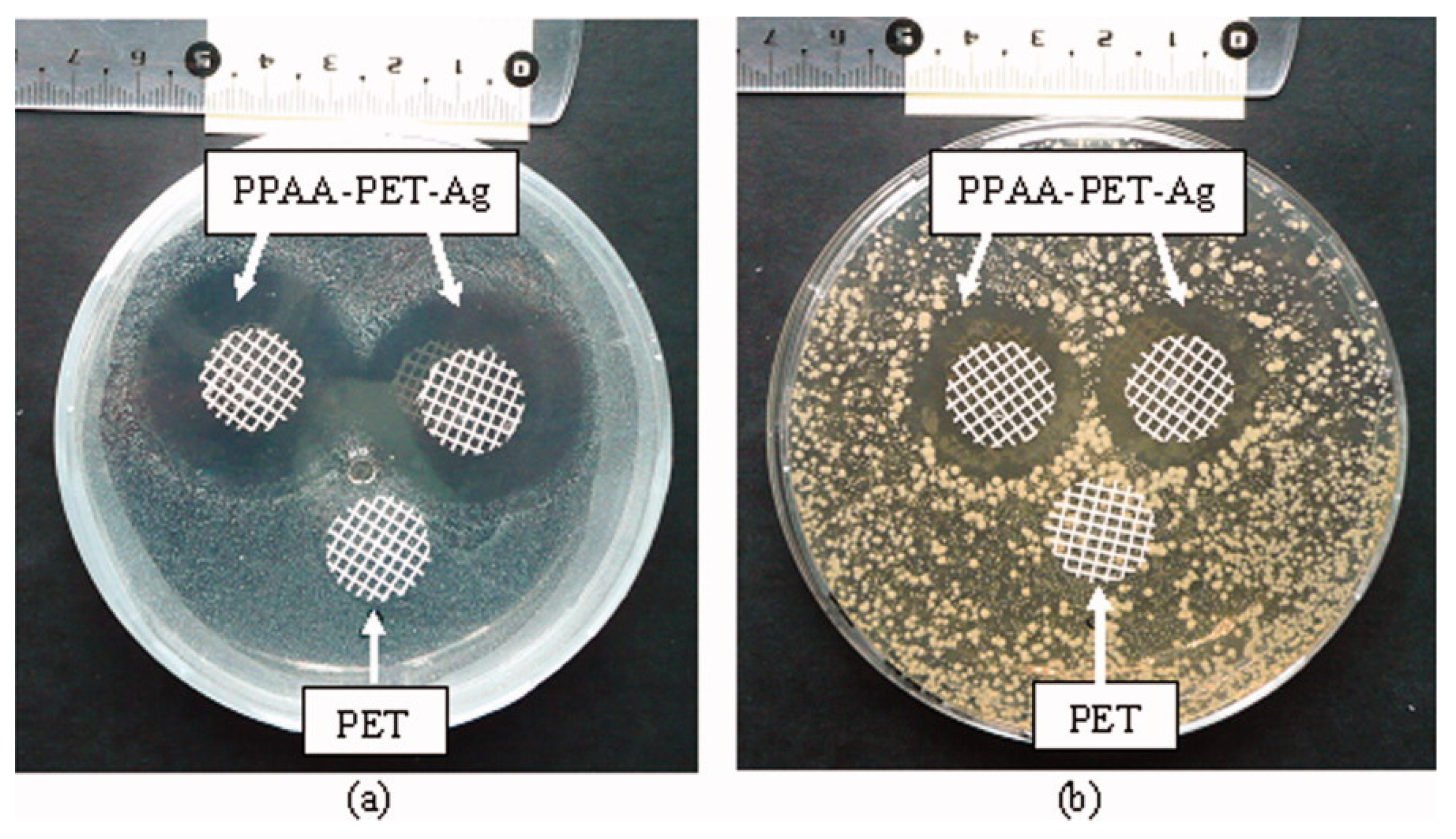 Polymers 12 02469 g004