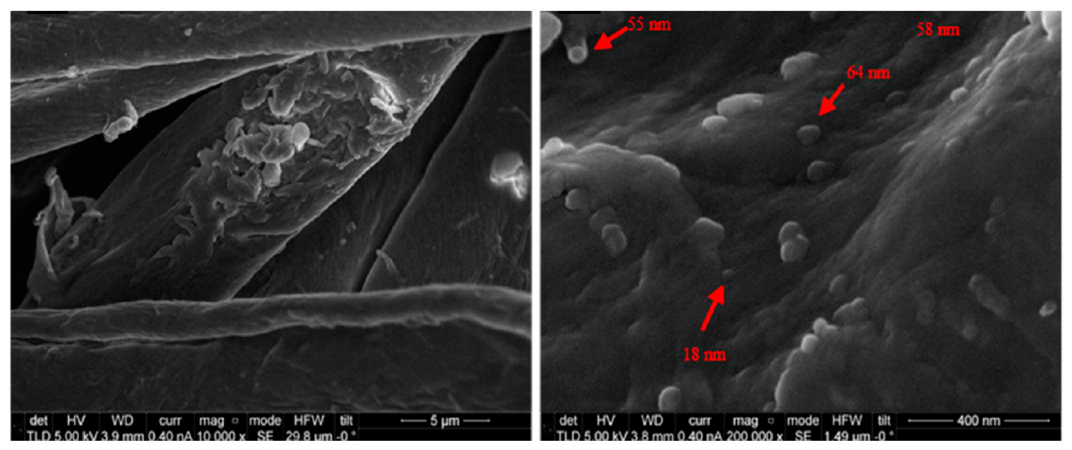 Polymers 12 02469 g005