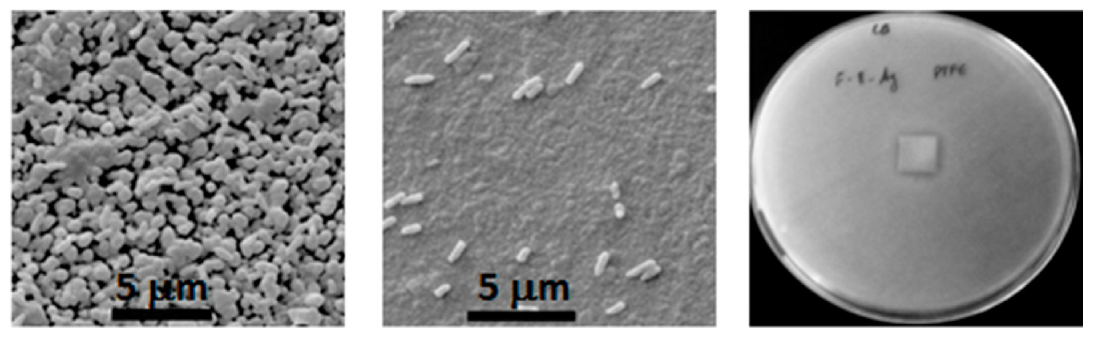 Polymers 12 02469 g007