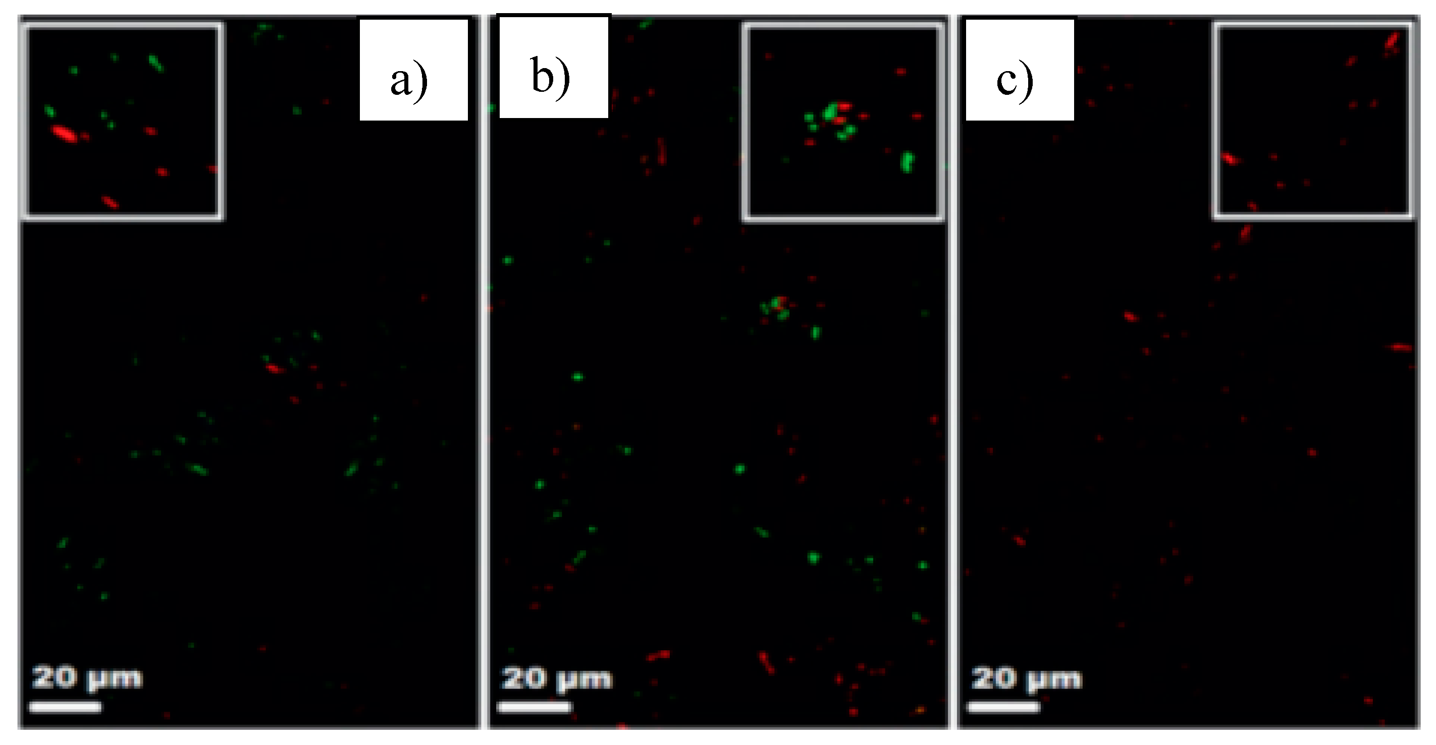 Polymers 12 02469 g008