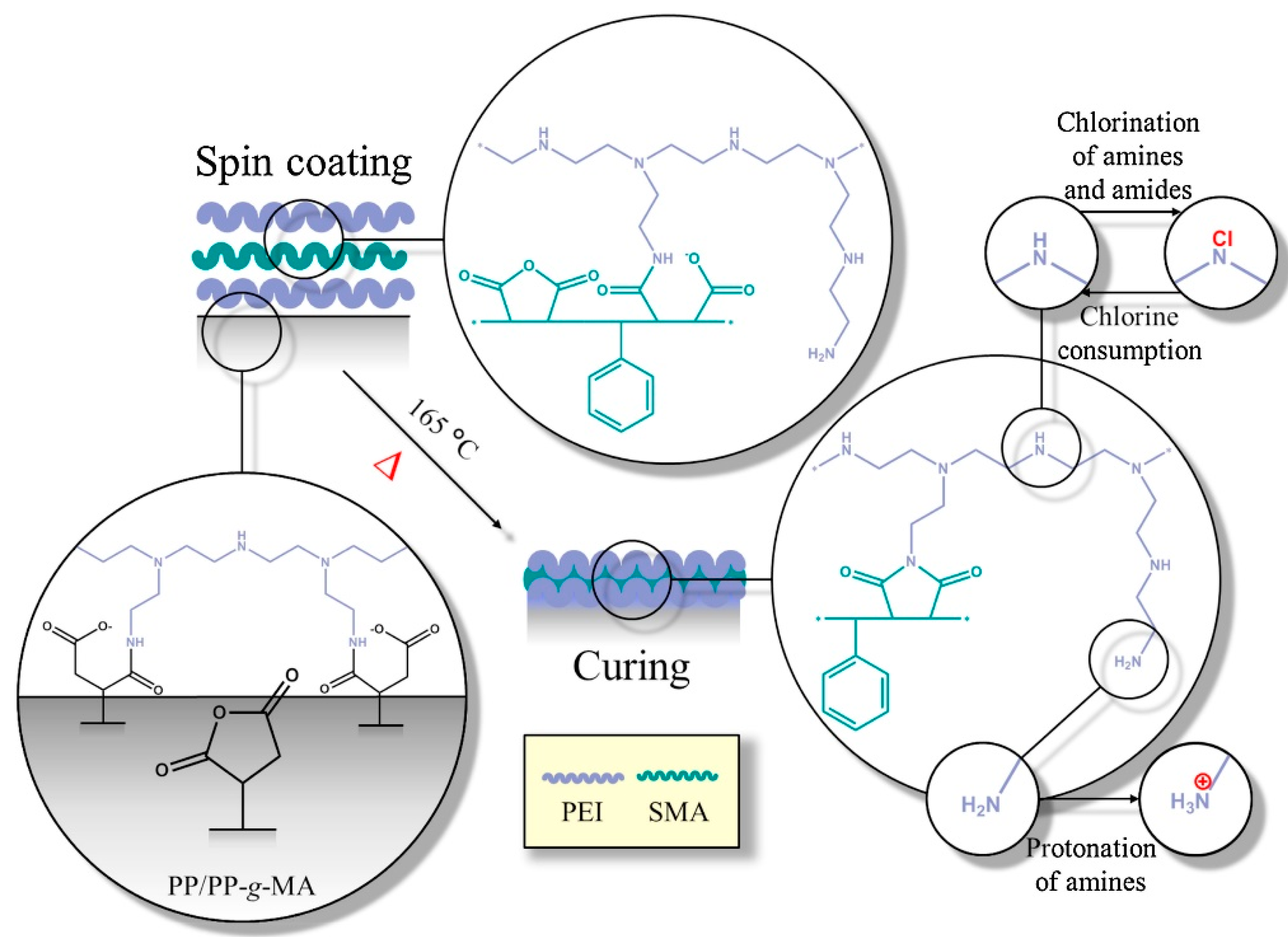 Polymers 12 02469 g009