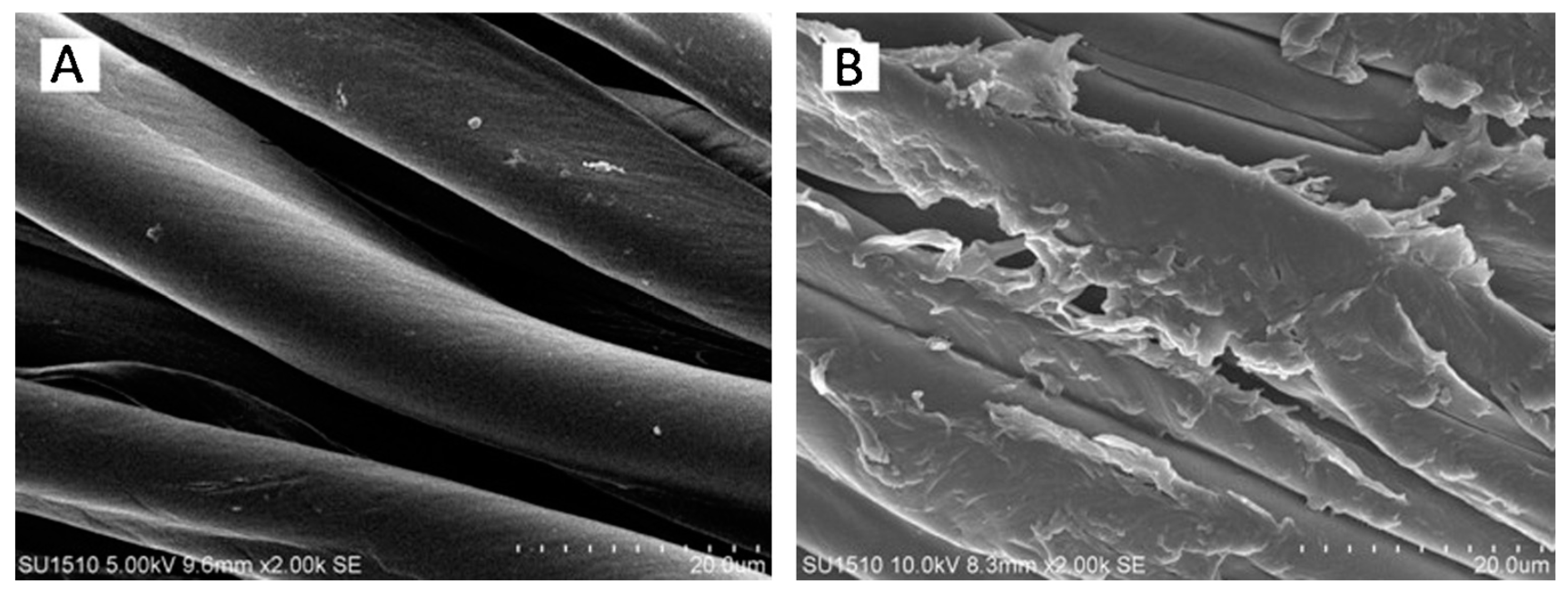 Polymers 12 02469 g012