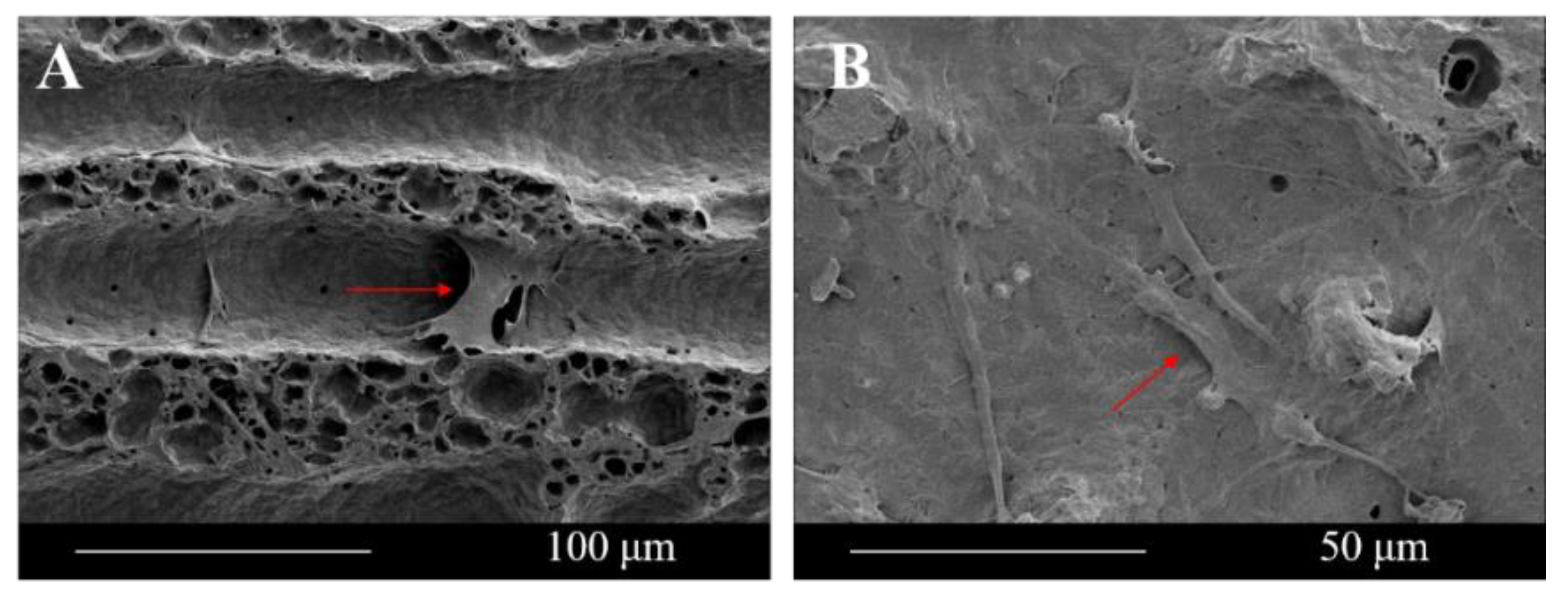 Polymers 12 02475 g009 Polymers 12 02475 g009