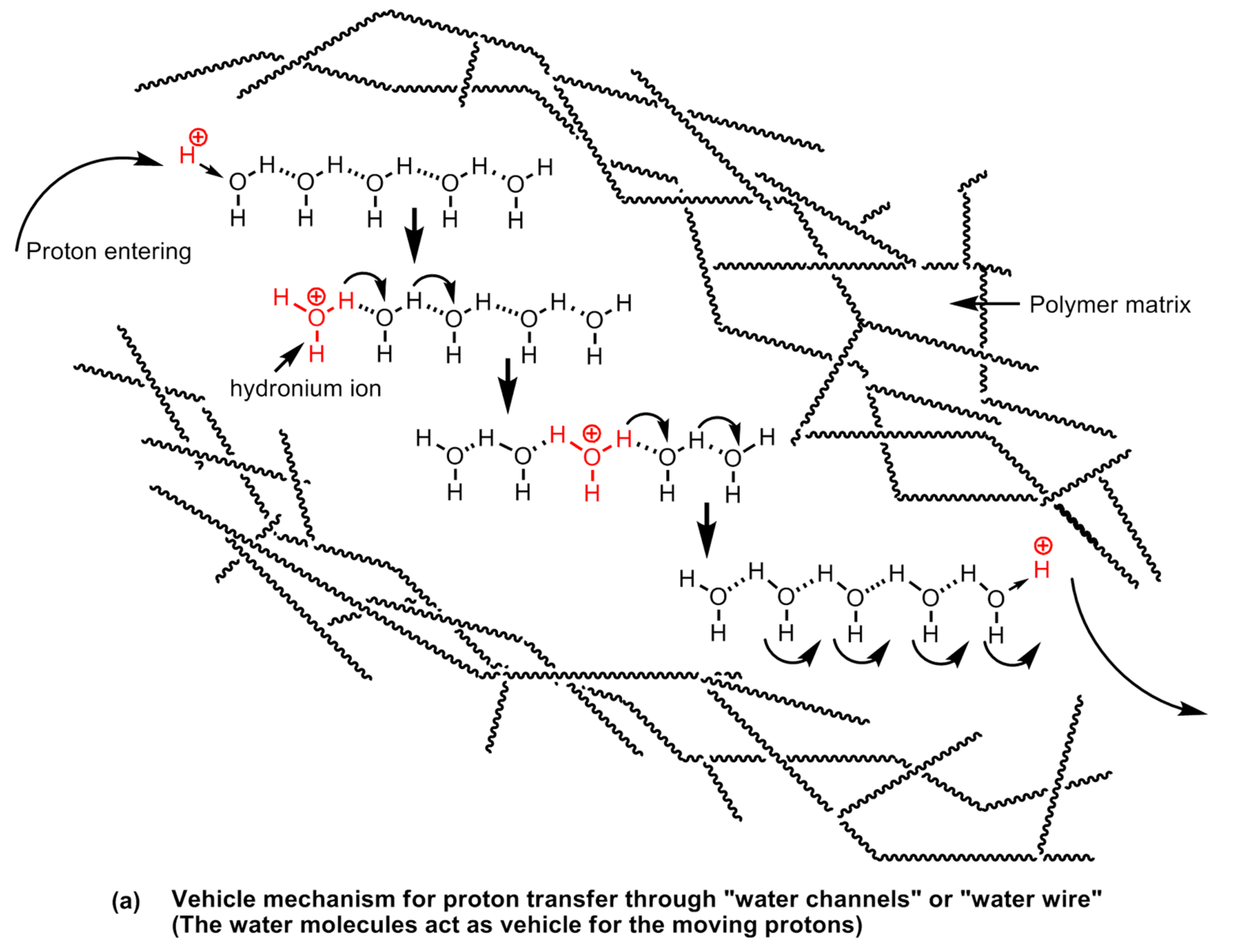 Polymers 12 02480 g028a Polymers 12 02480 g028a