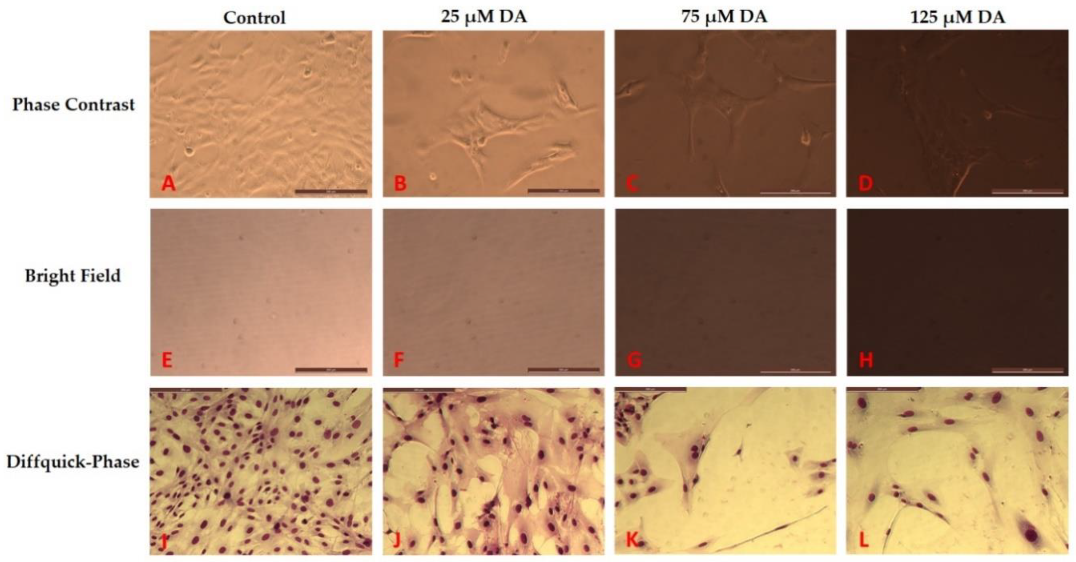 Polymers 12 02483 g003 Polymers 12 02483 g003