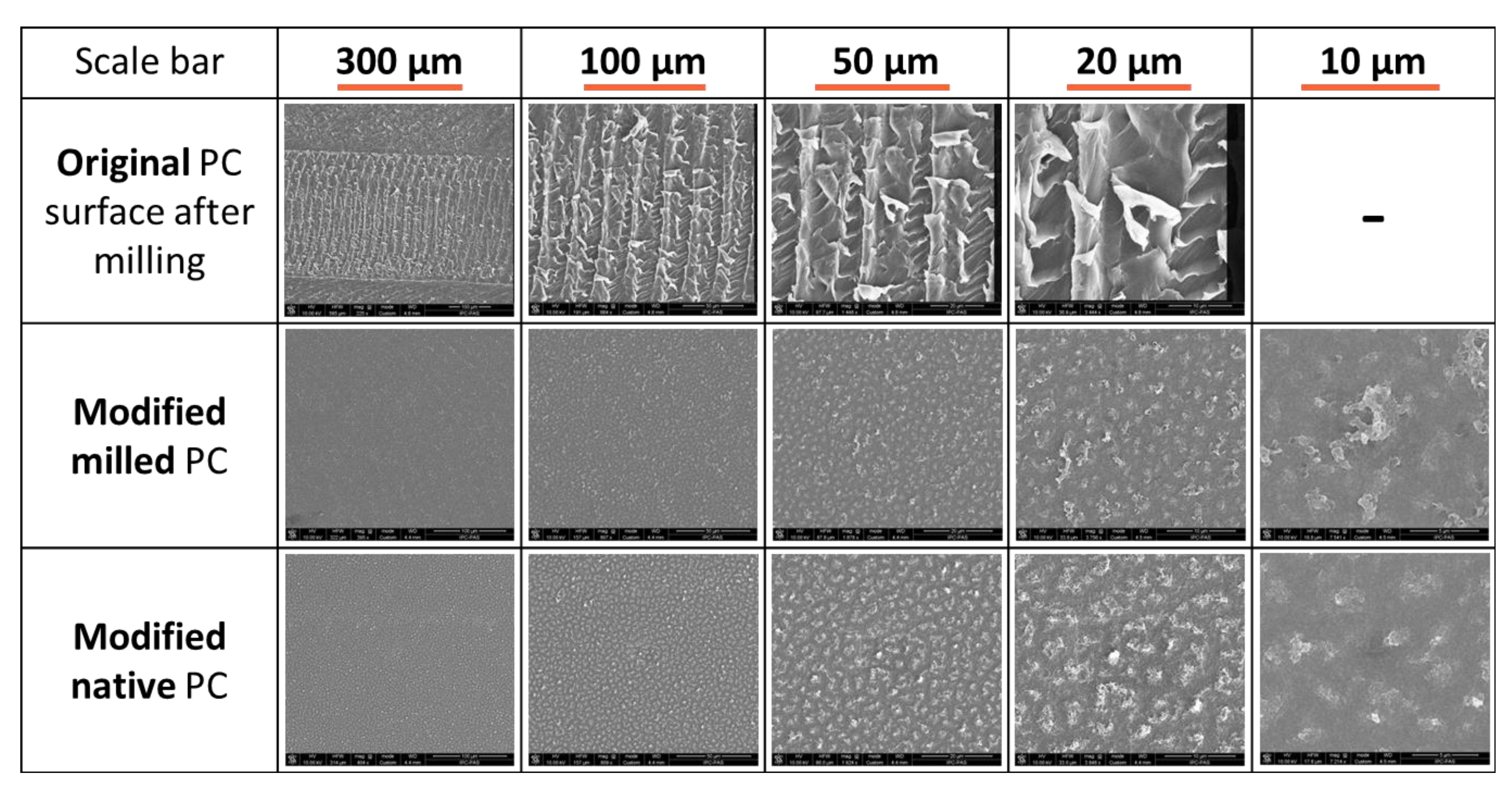 Polymers 12 02490 g003
