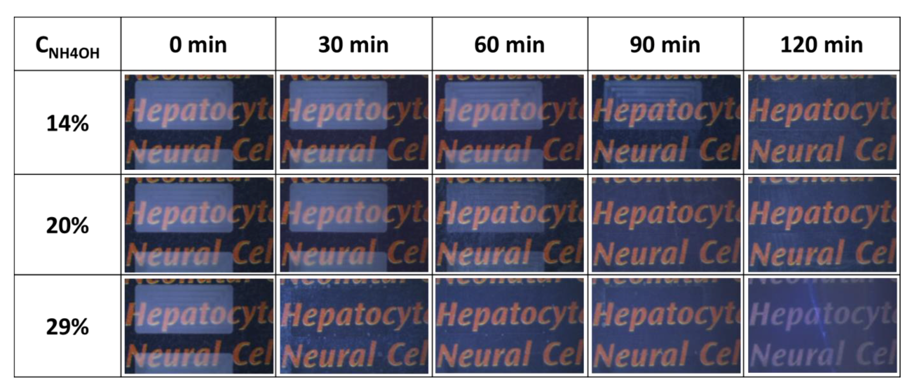 Polymers 12 02490 g005