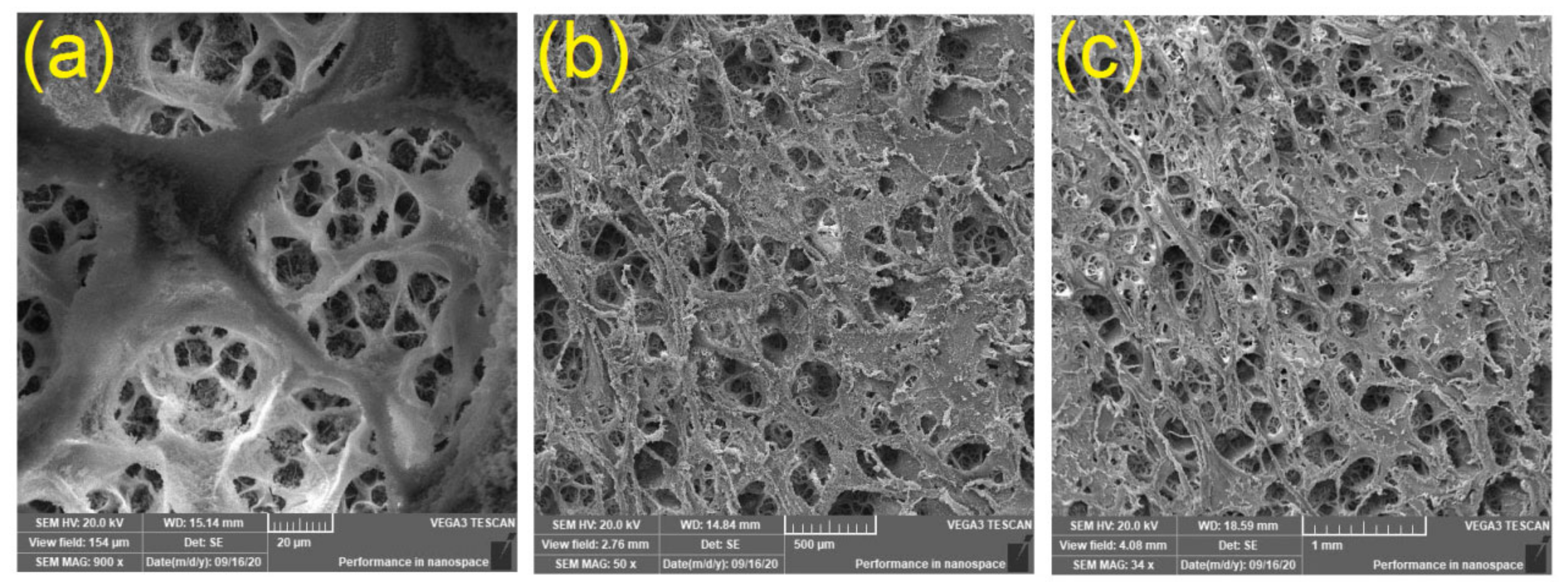 Polymers 12 02501 g001 Polymers 12 02501 g001