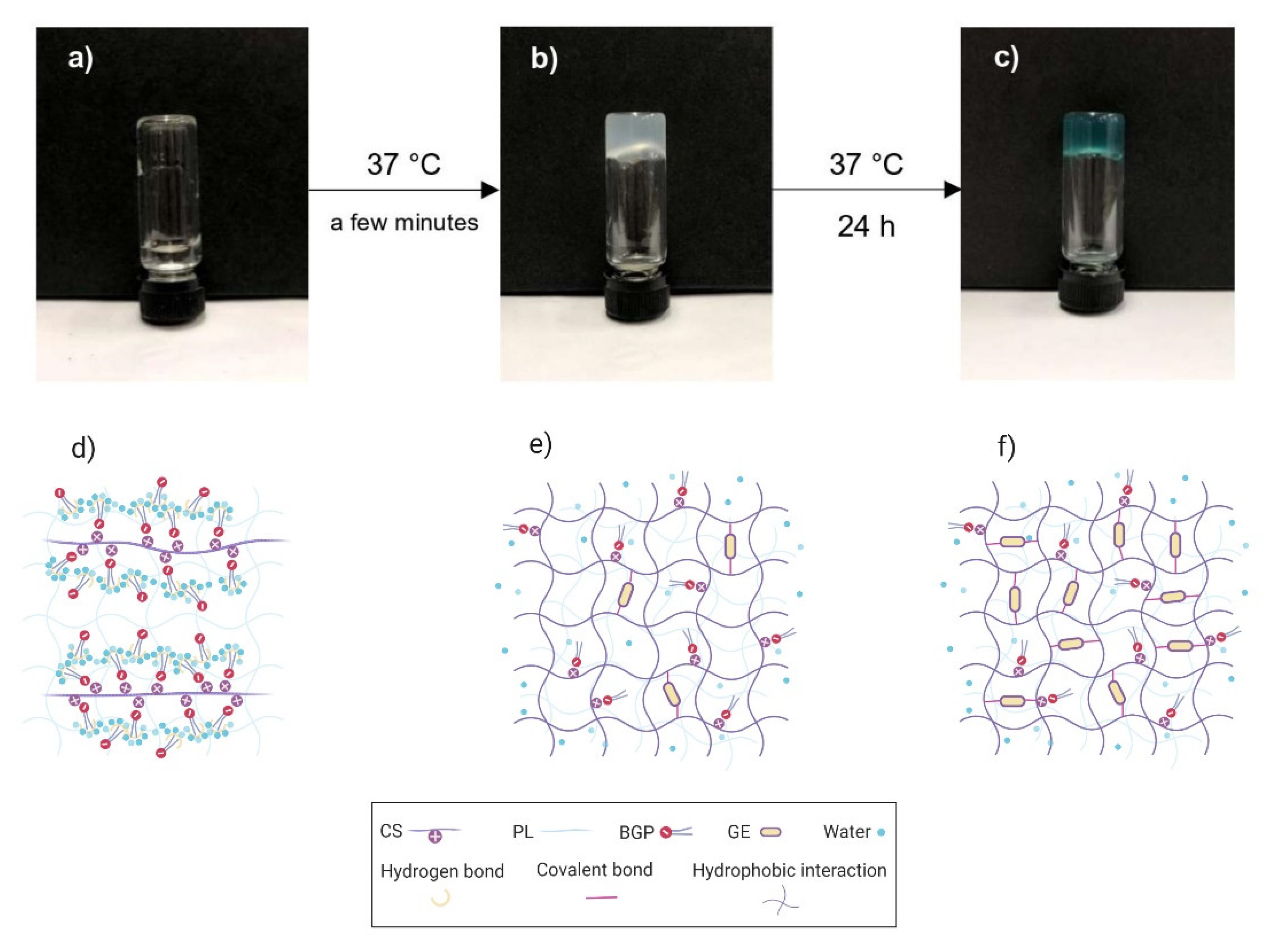 Polymers 12 02514 g001 Polymers 12 02514 g001
