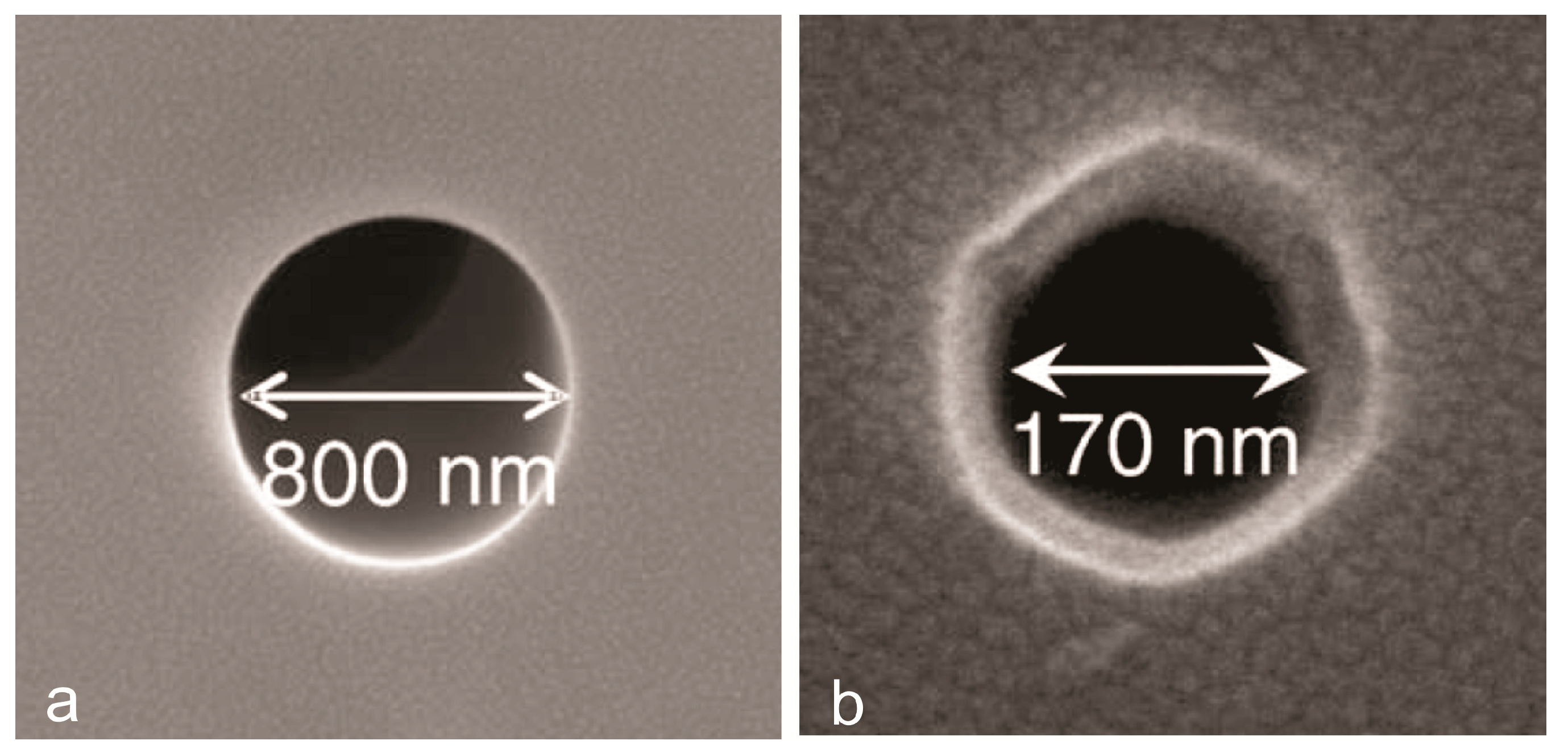 Polymers 12 02516 g003 Polymers 12 02516 g003