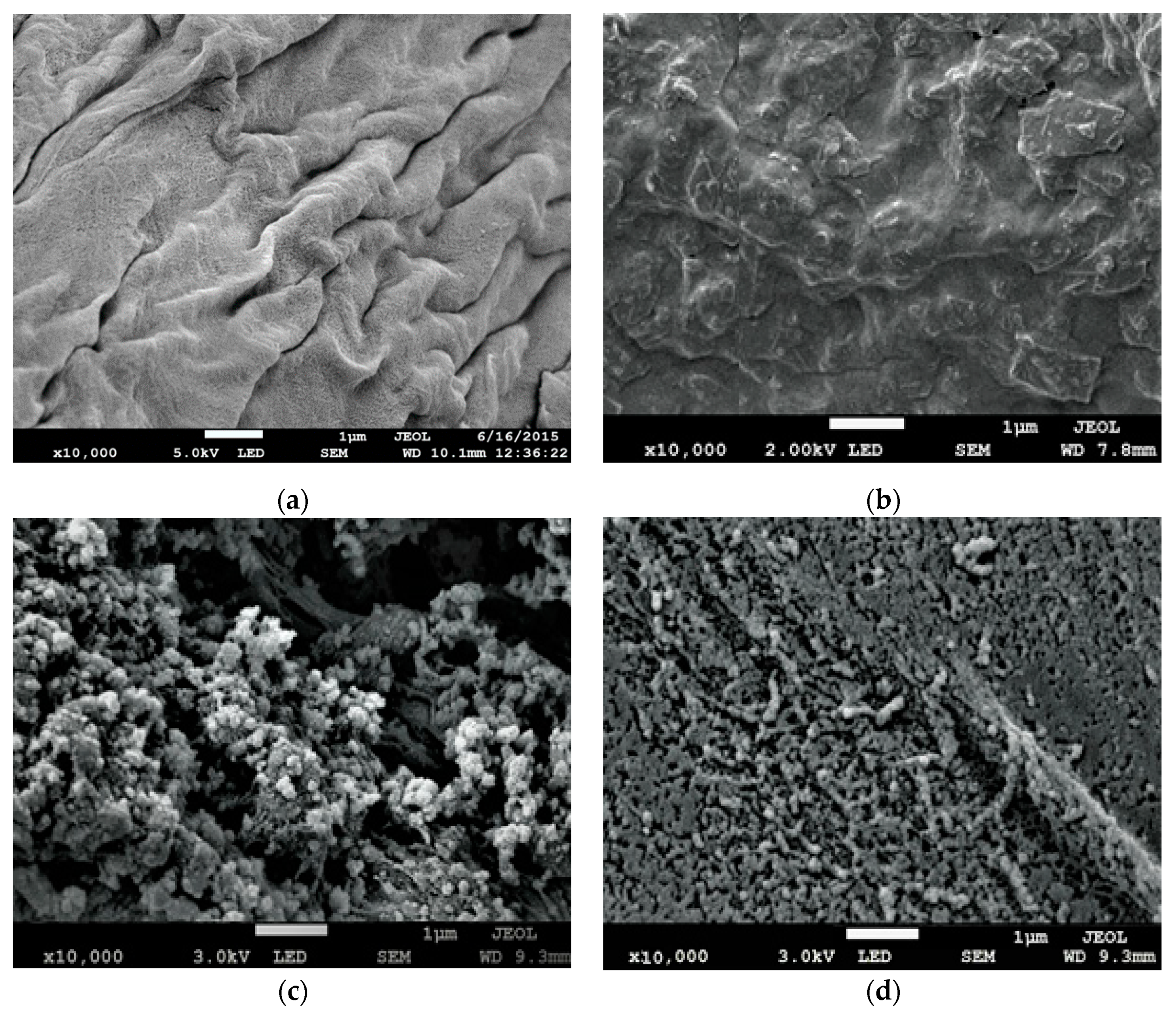 Polymers 12 02521 g003 Polymers 12 02521 g003