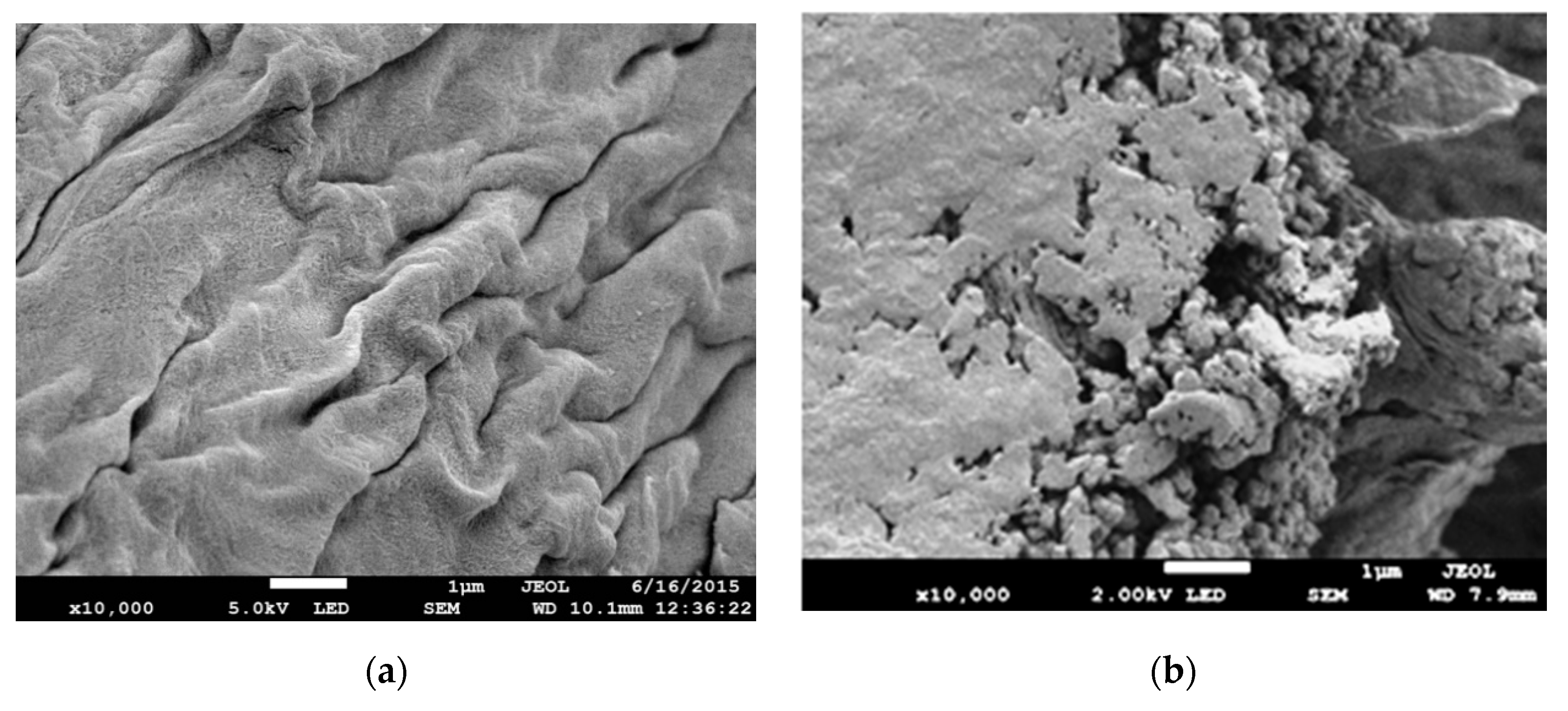 Polymers 12 02521 g004a Polymers 12 02521 g004a