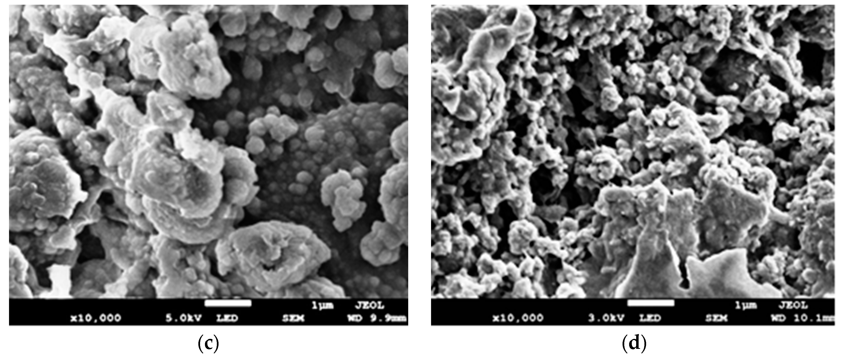 Polymers 12 02521 g004b Polymers 12 02521 g004b