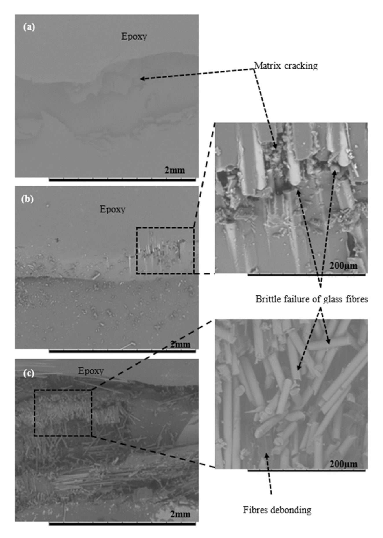 Polymers 12 02522 g008 Polymers 12 02522 g008