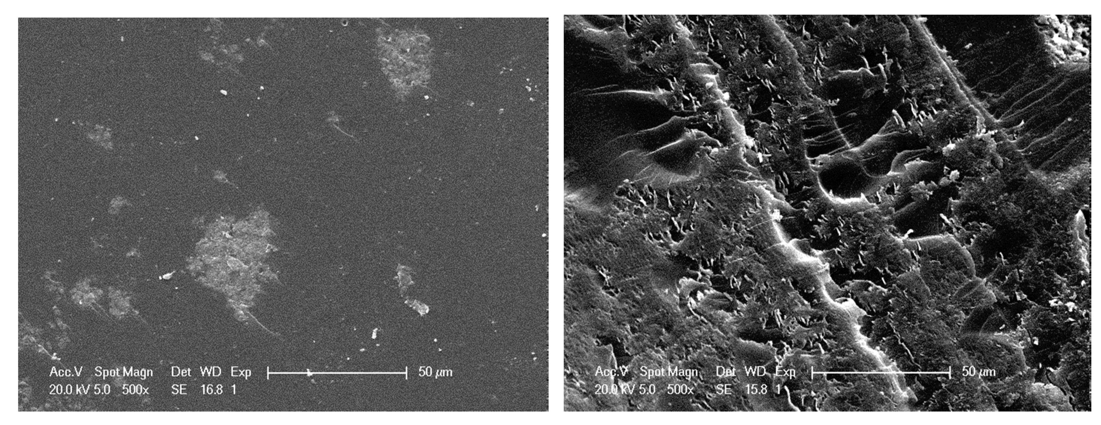 polymers free full text key role of the dispersion of carbon nanotubes cnts within epoxy networks on their ability to release html
