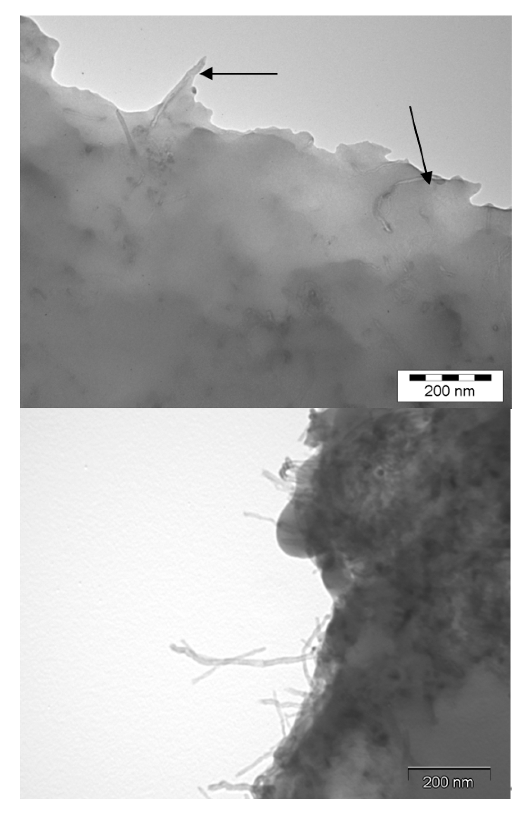 Polymers 12 02530 g013