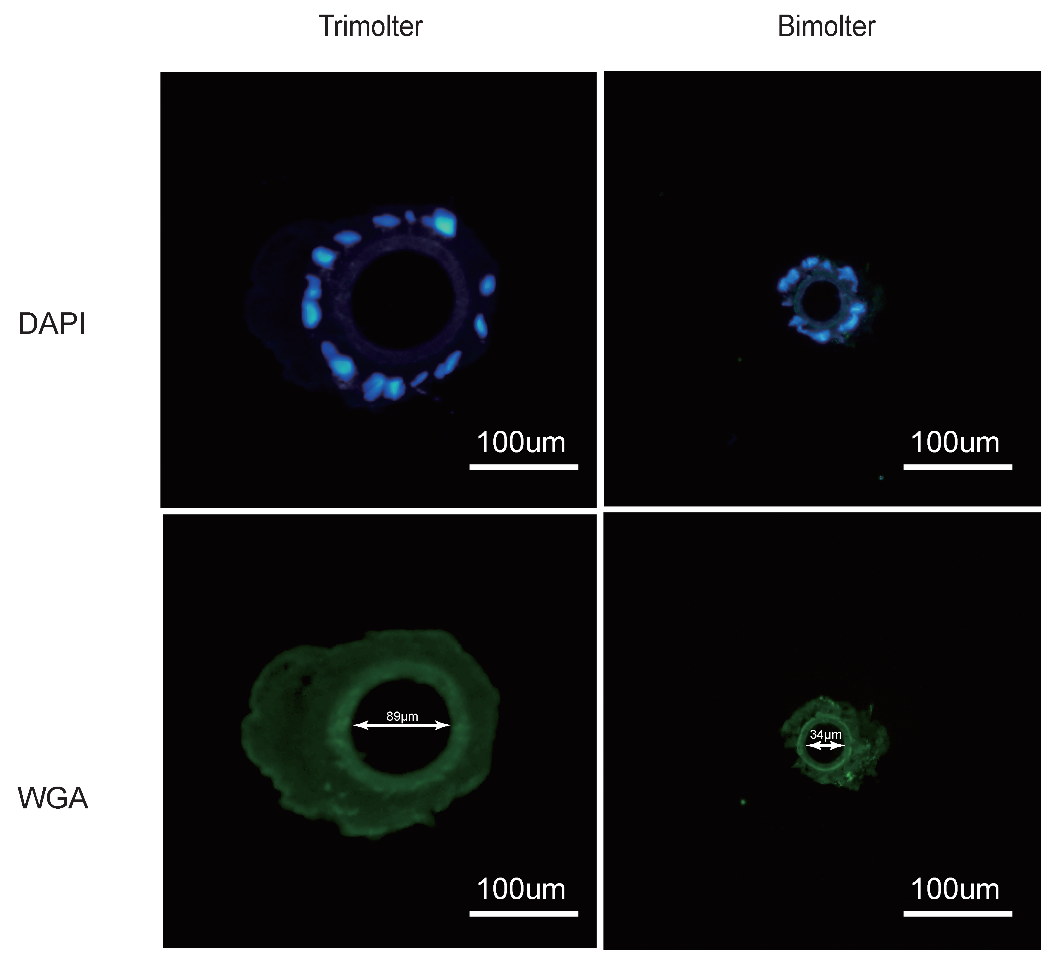 Polymers 12 02537 g005 Polymers 12 02537 g005