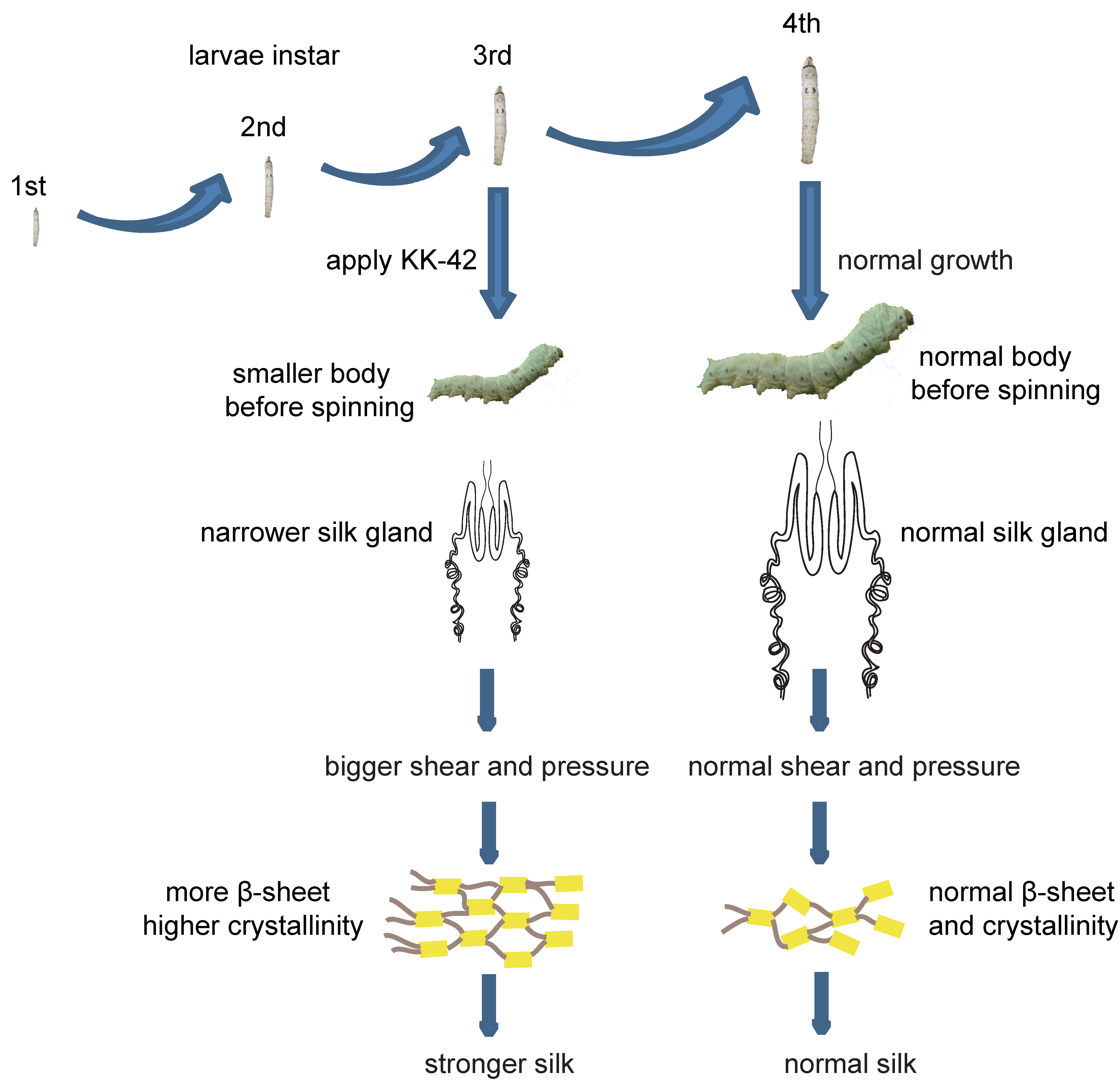Polymers 12 02537 g010 Polymers 12 02537 g010
