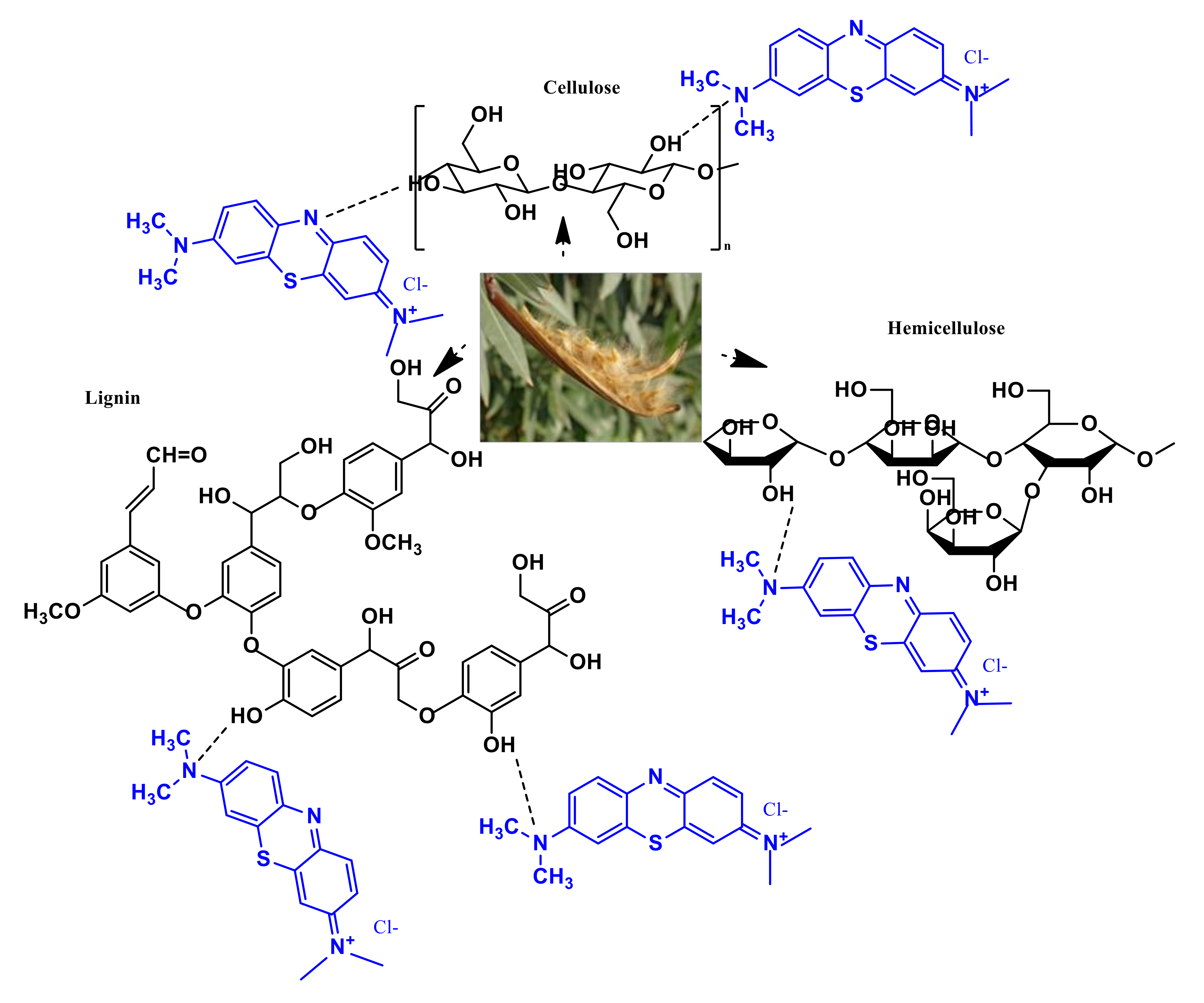 Polymers 12 02539 sch001 Polymers 12 02539 sch001