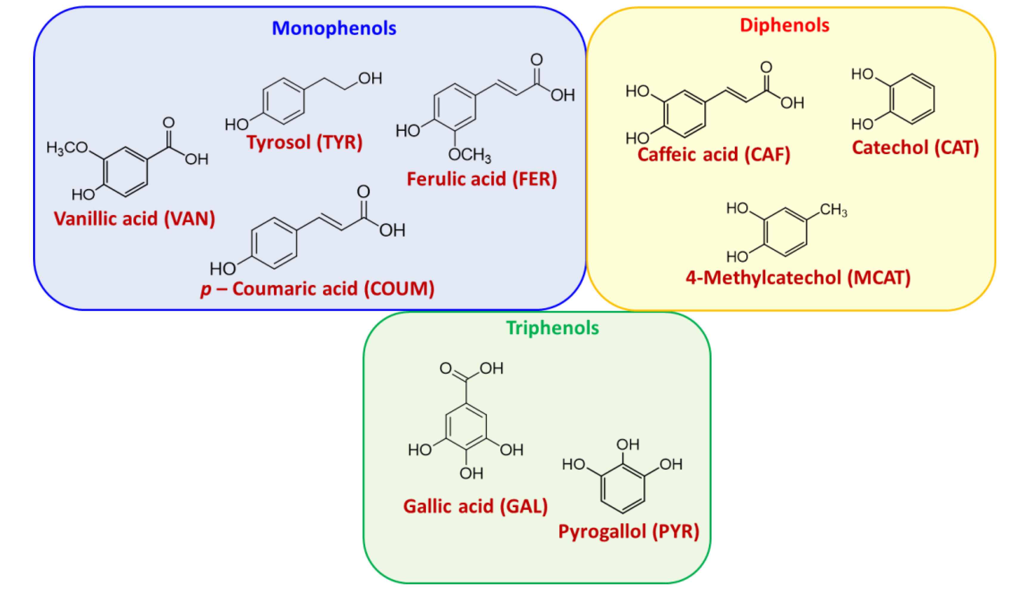 Polymers 12 02544 g001