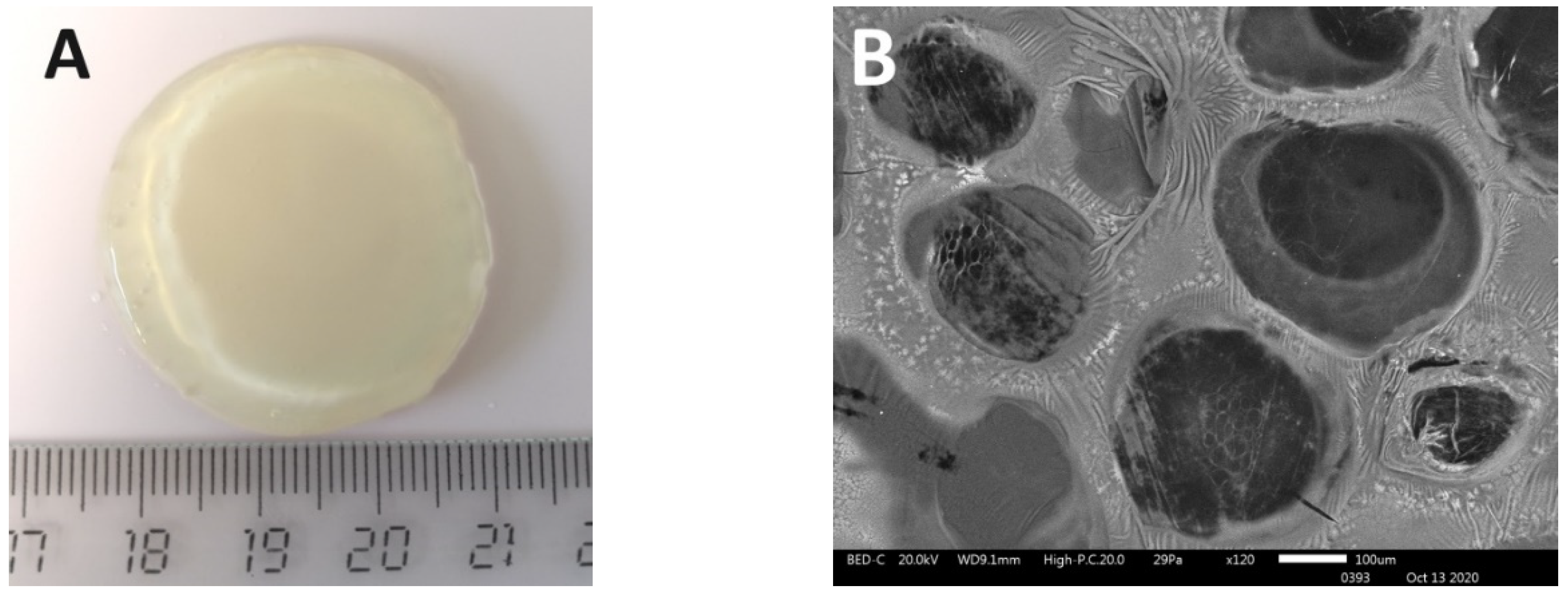 Polymers 12 02550 g001