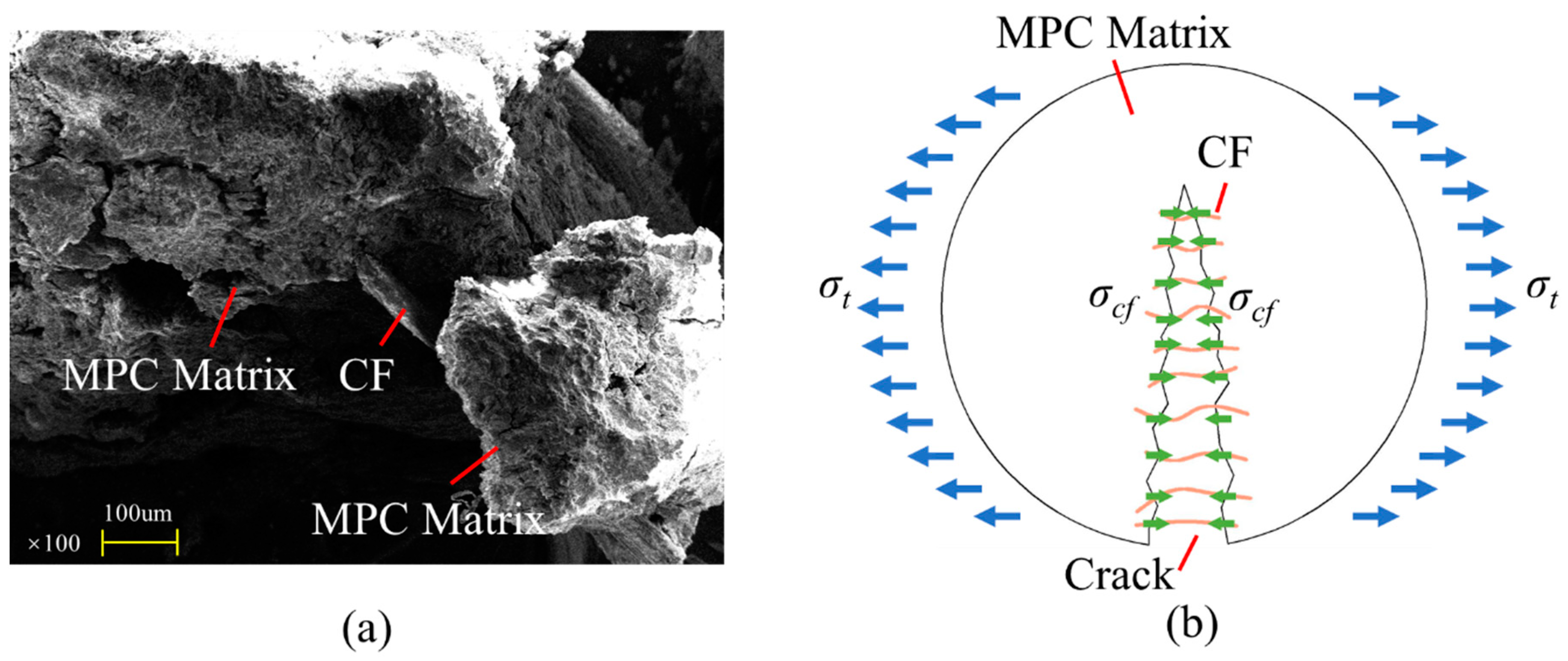 Polymers 12 02556 g018