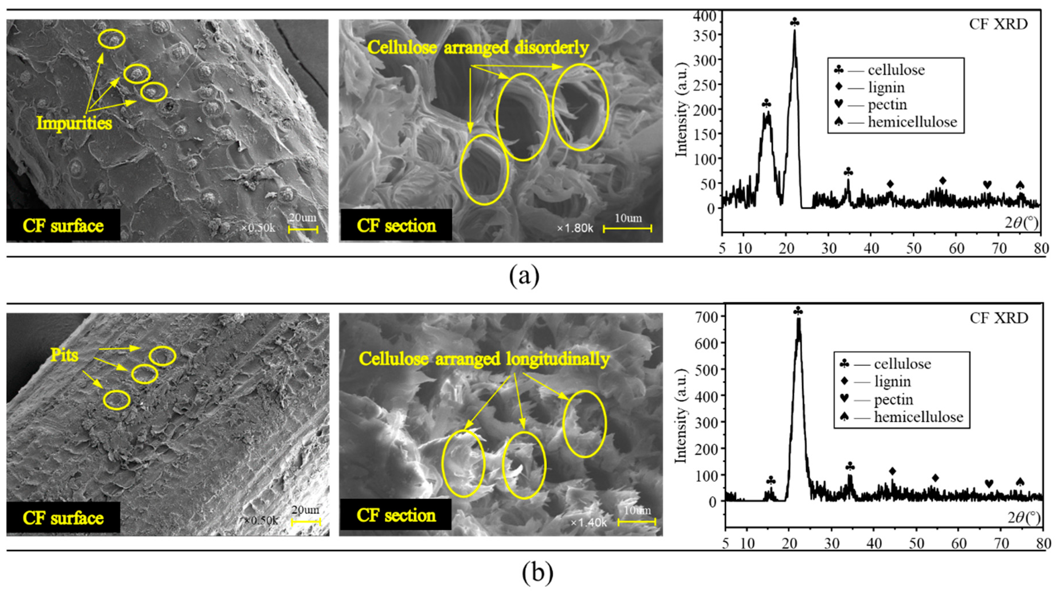 Polymers 12 02556 g019
