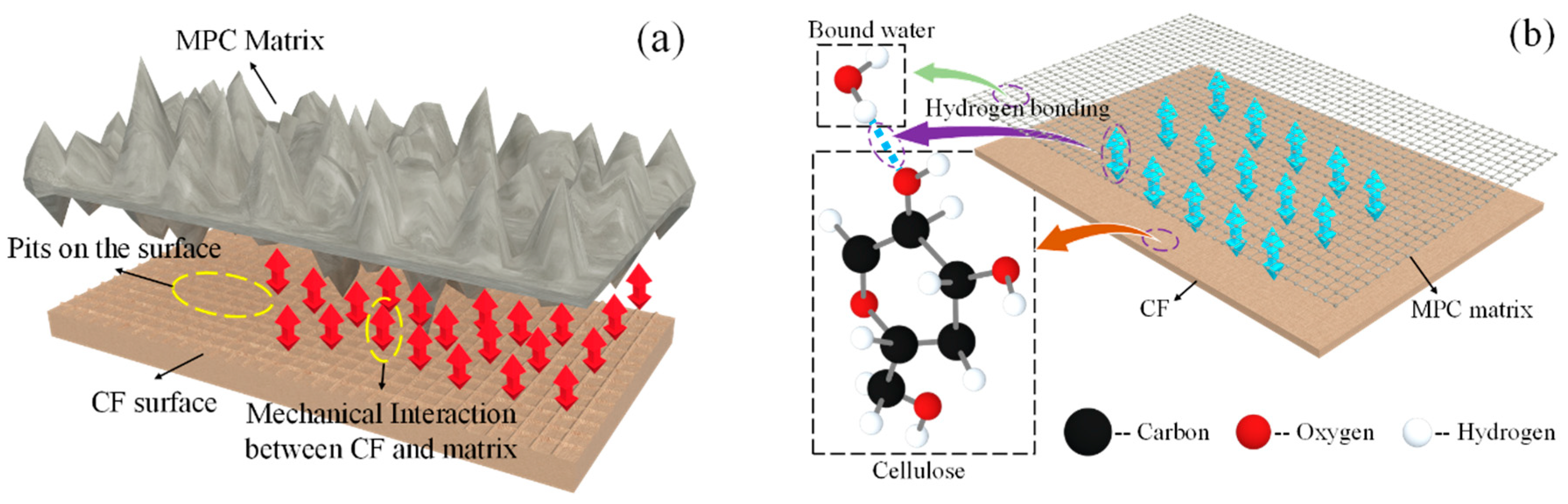 Polymers 12 02556 g020