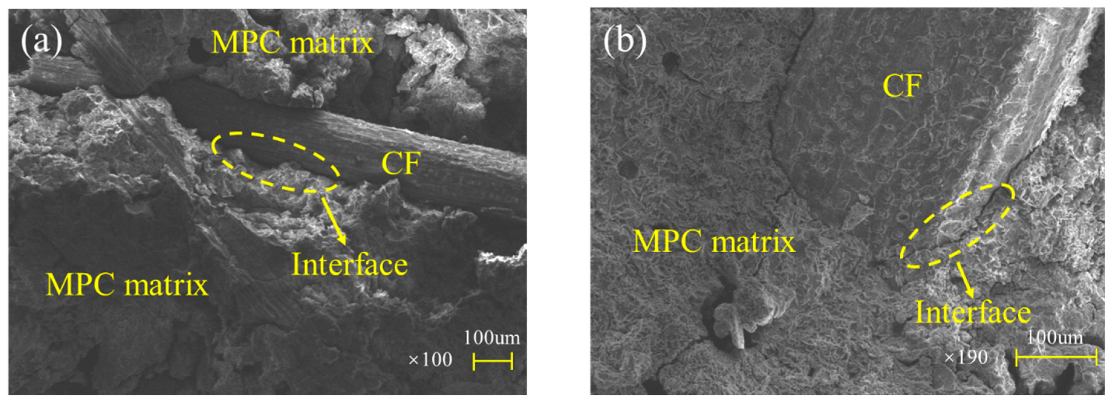 Polymers 12 02556 g021