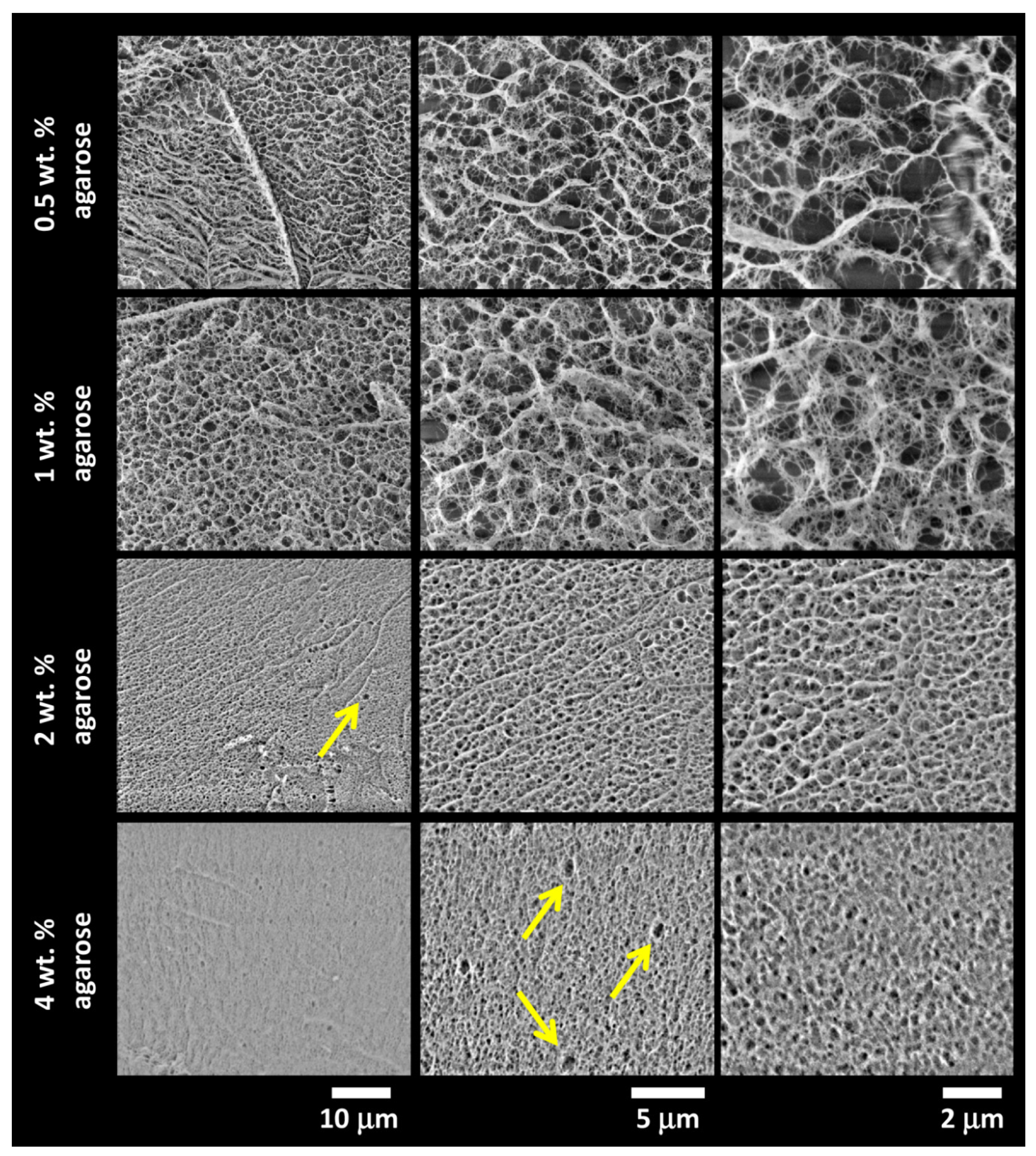 Polymers 12 02561 g004 Polymers 12 02561 g004