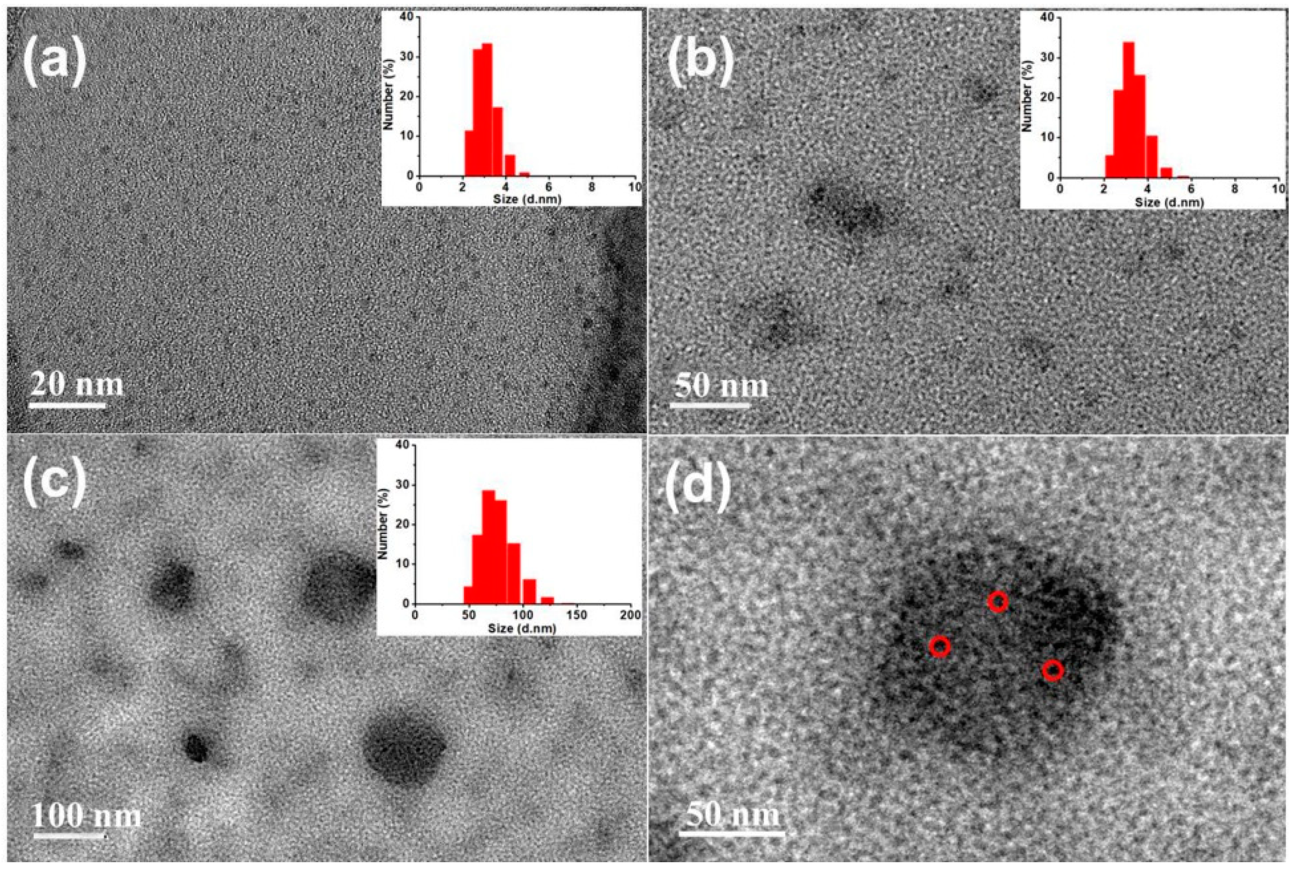 Polymers 12 02565 g001