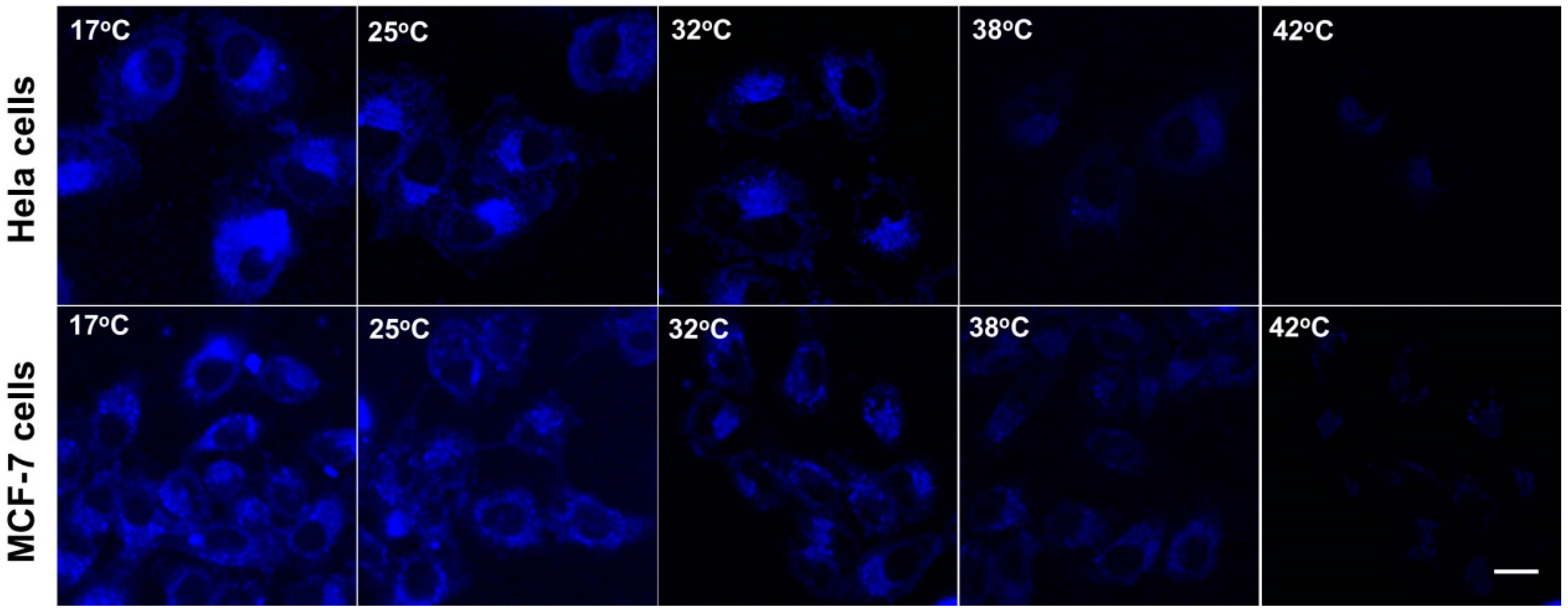 Polymers 12 02565 g005