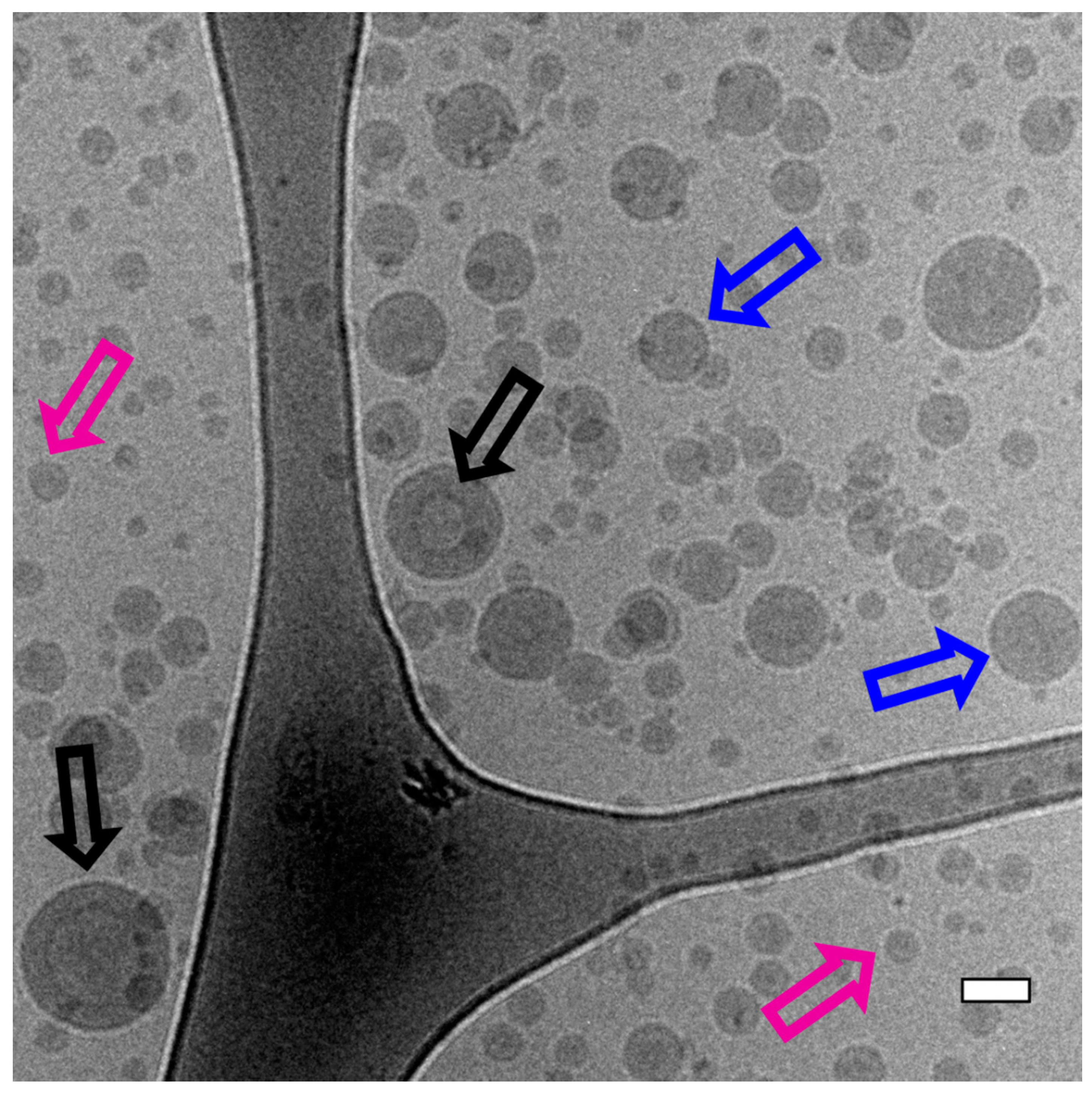 Polymers 12 02572 g003 Polymers 12 02572 g003