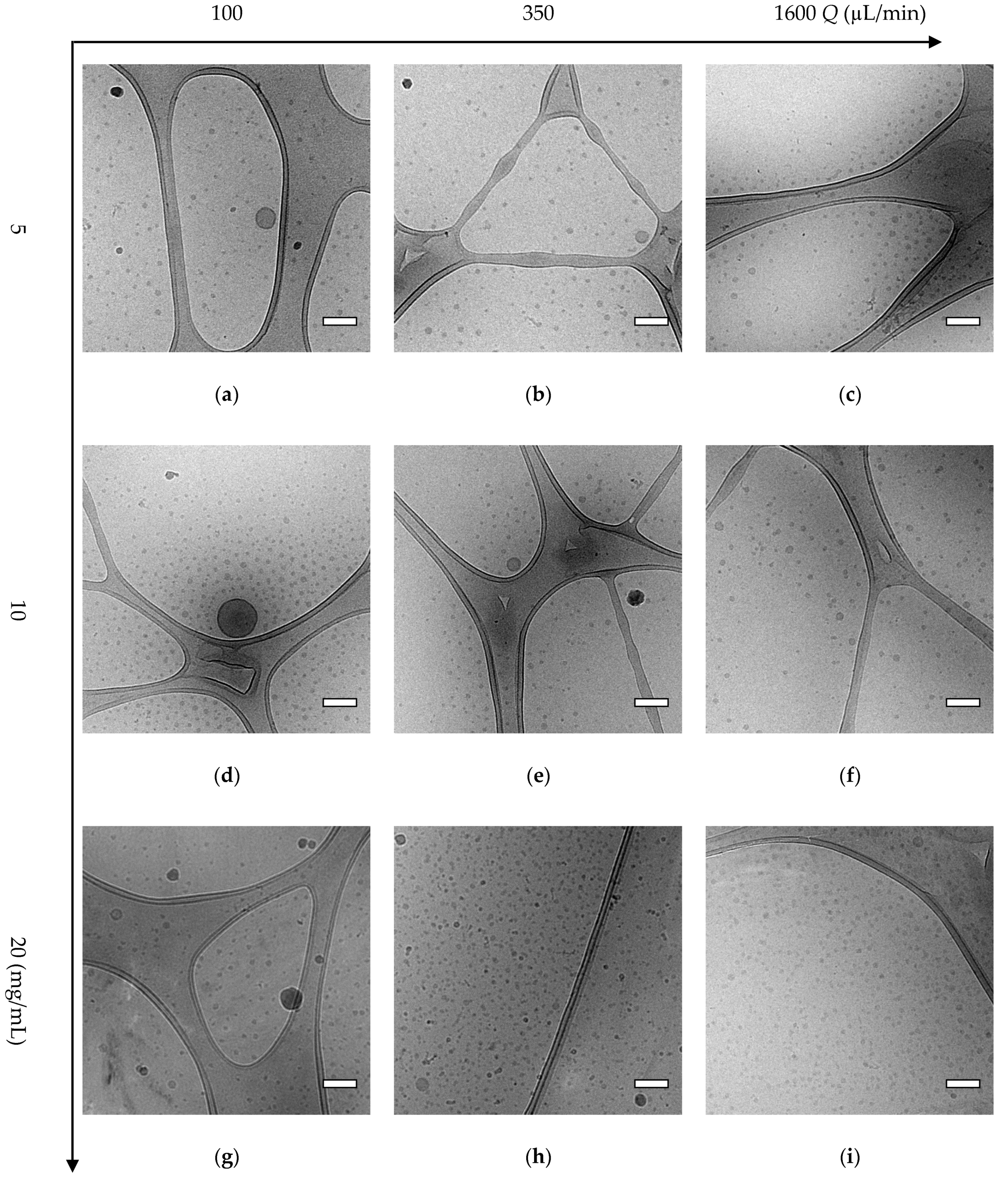 Polymers 12 02572 g006 Polymers 12 02572 g006