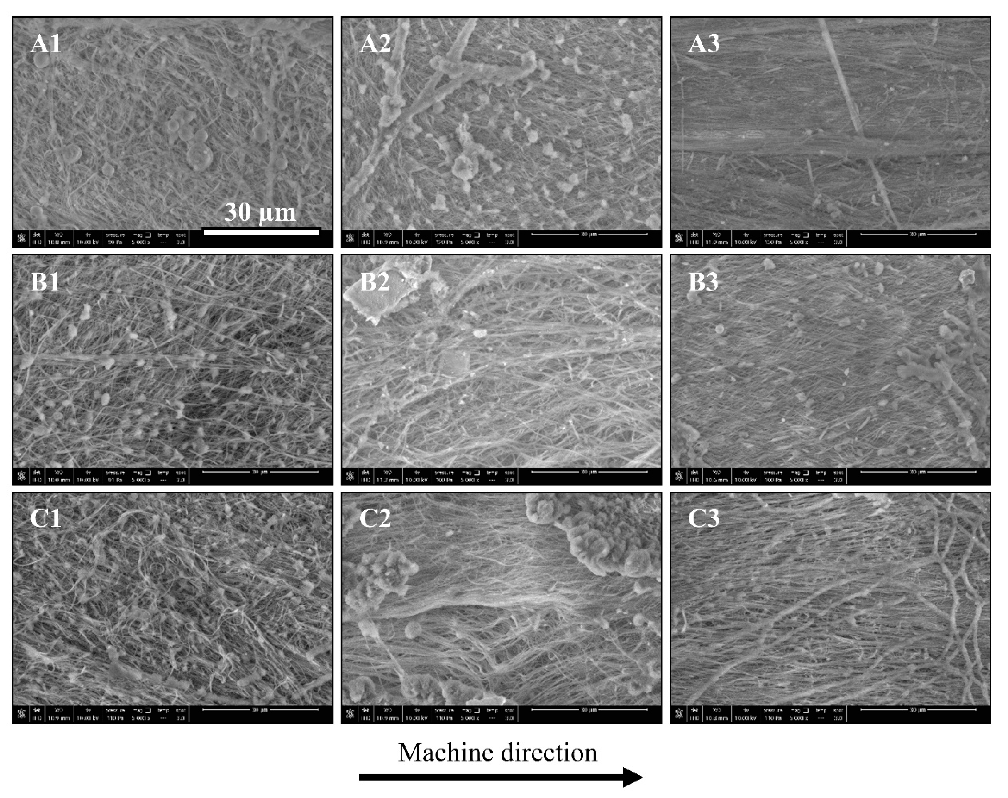 Polymers 12 02585 g005